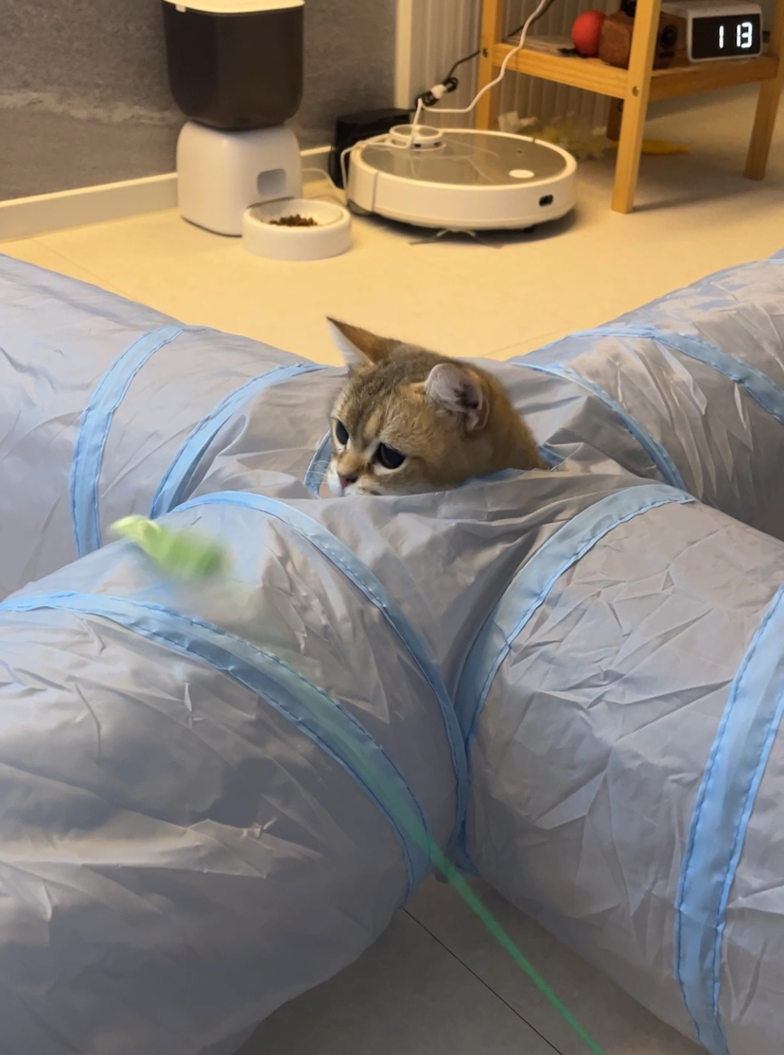 사월이(열매)의 일주일