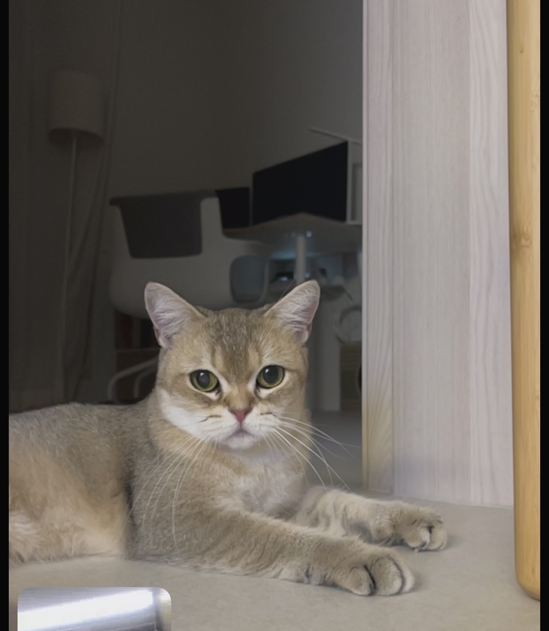 사월이(열매)의 일주일