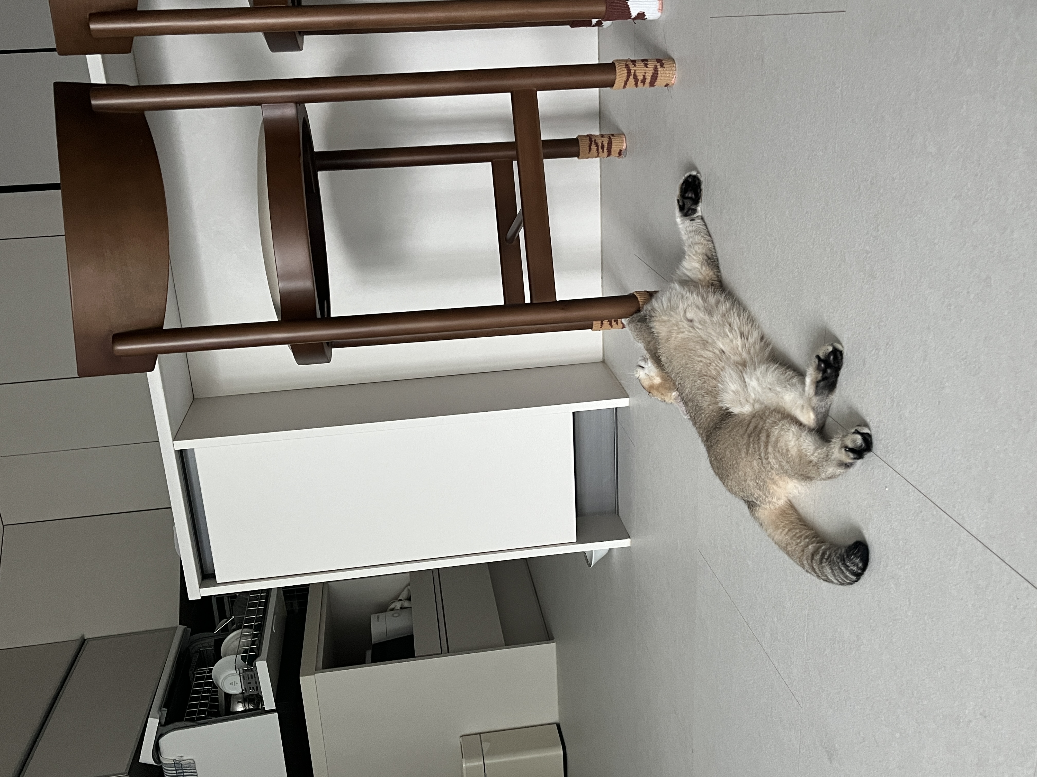 사월이(열매)의 일주일