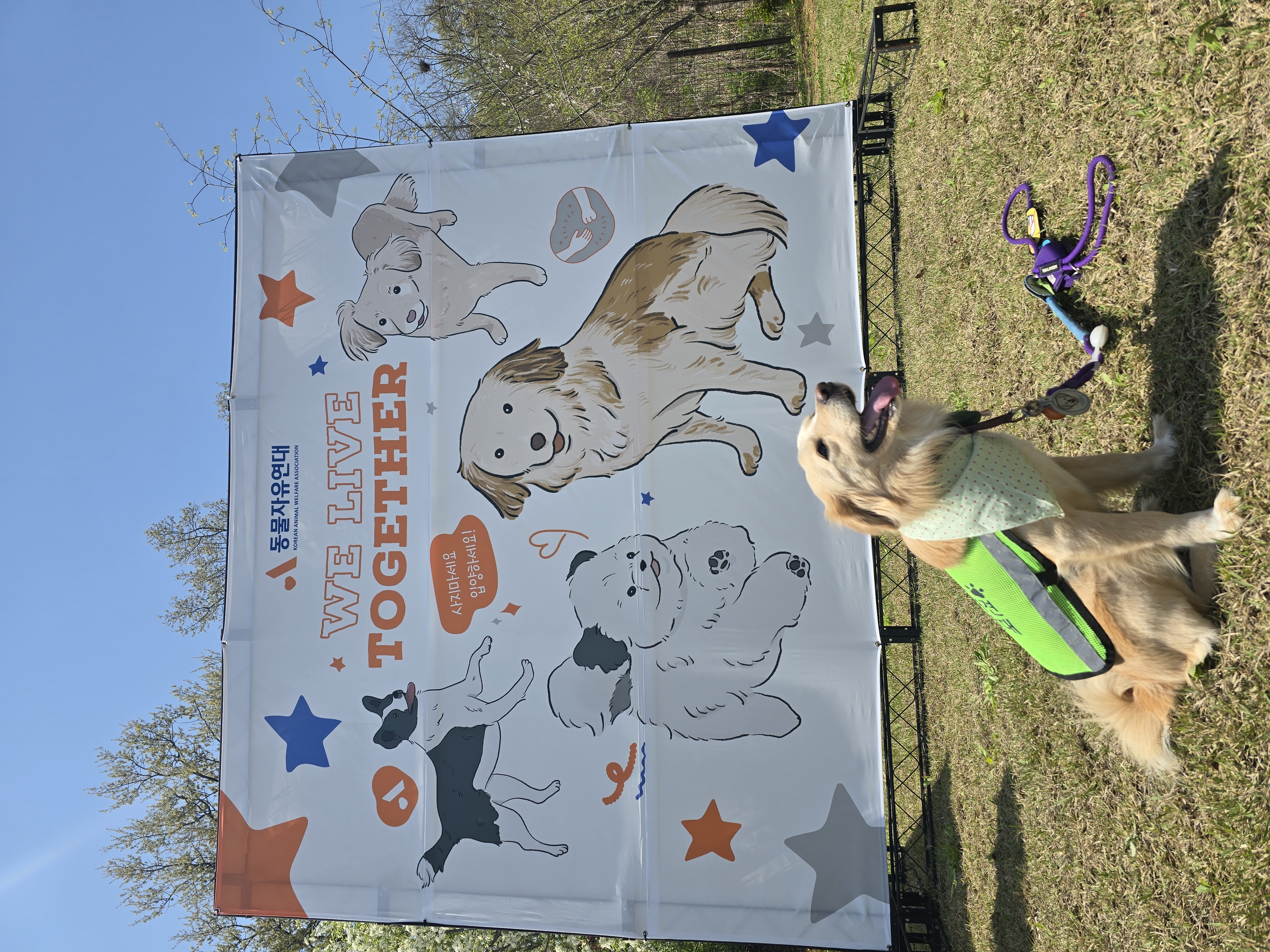 자몽이와 함께한지 3년째(구 육콩이)