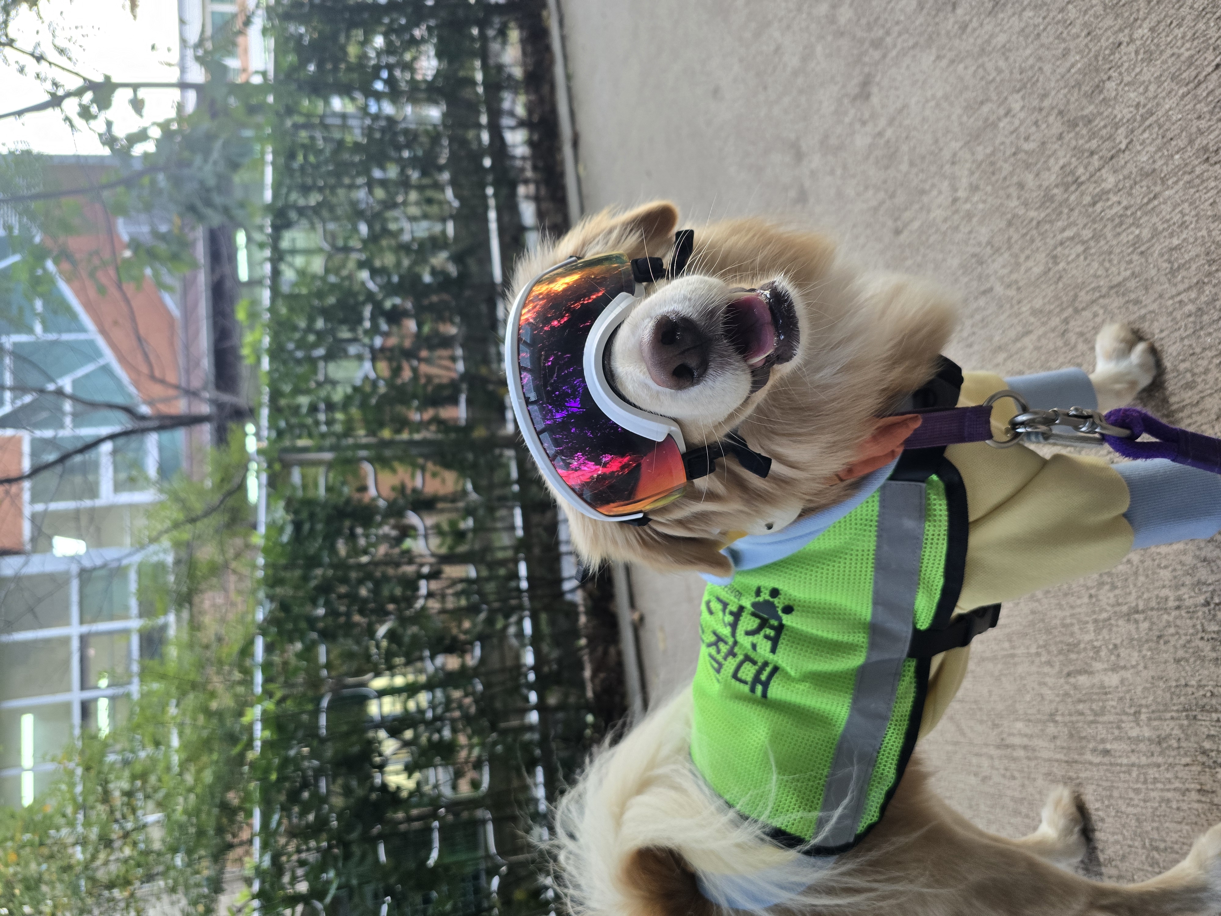 자몽이와 함께한지 3년째(구 육콩이)