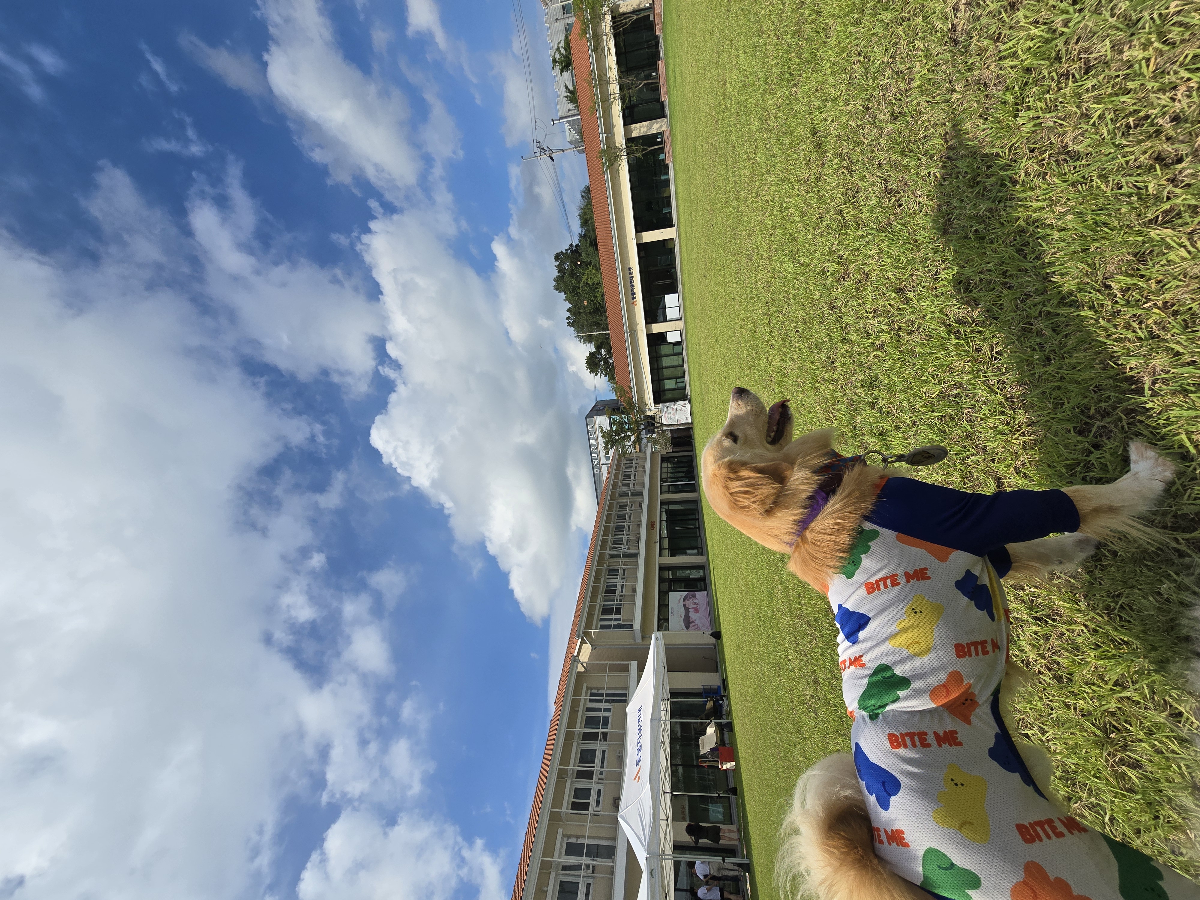 자몽이와 함께한지 3년째(구 육콩이)