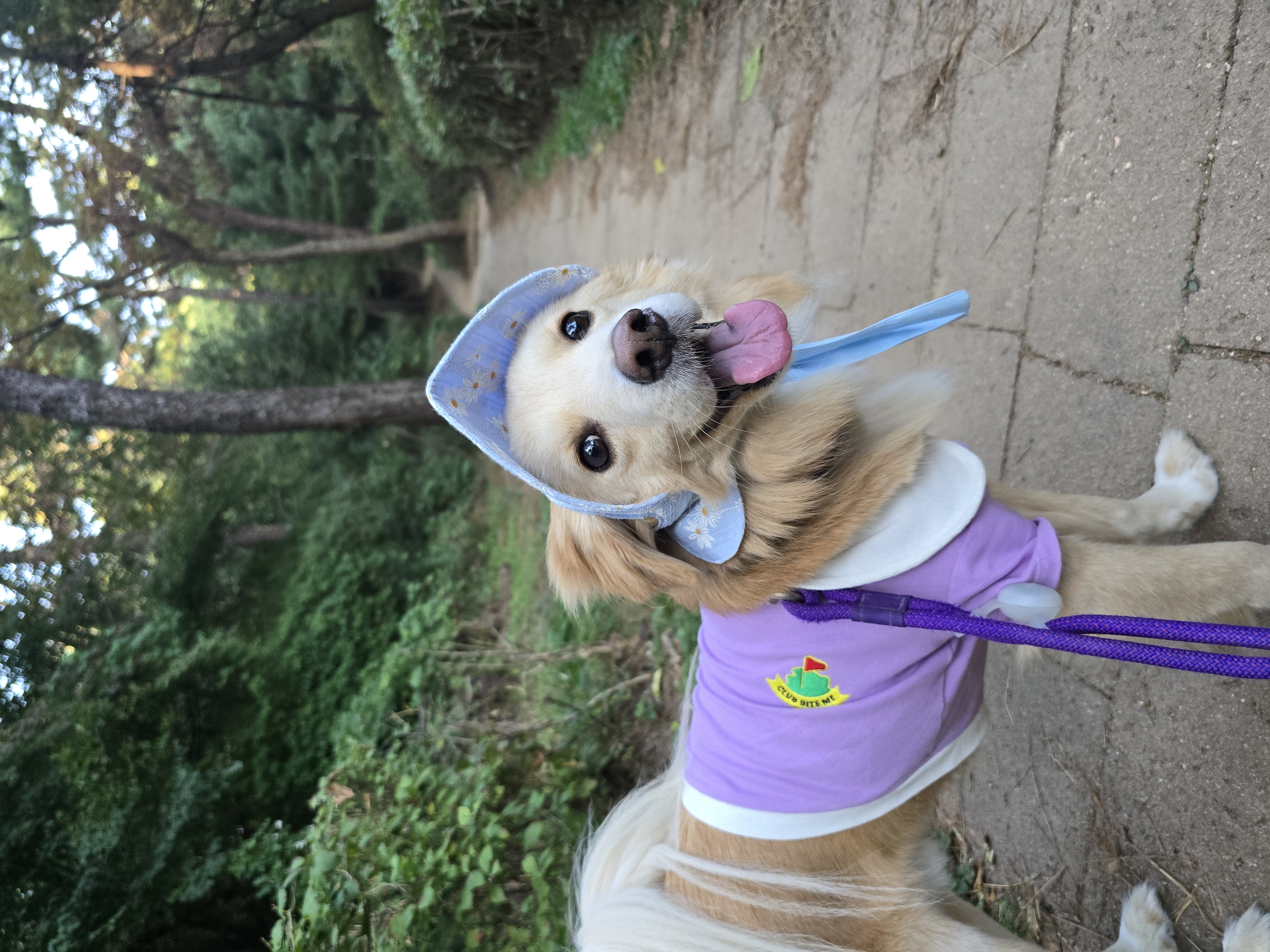 자몽이와 함께한지 3년째(구 육콩이)