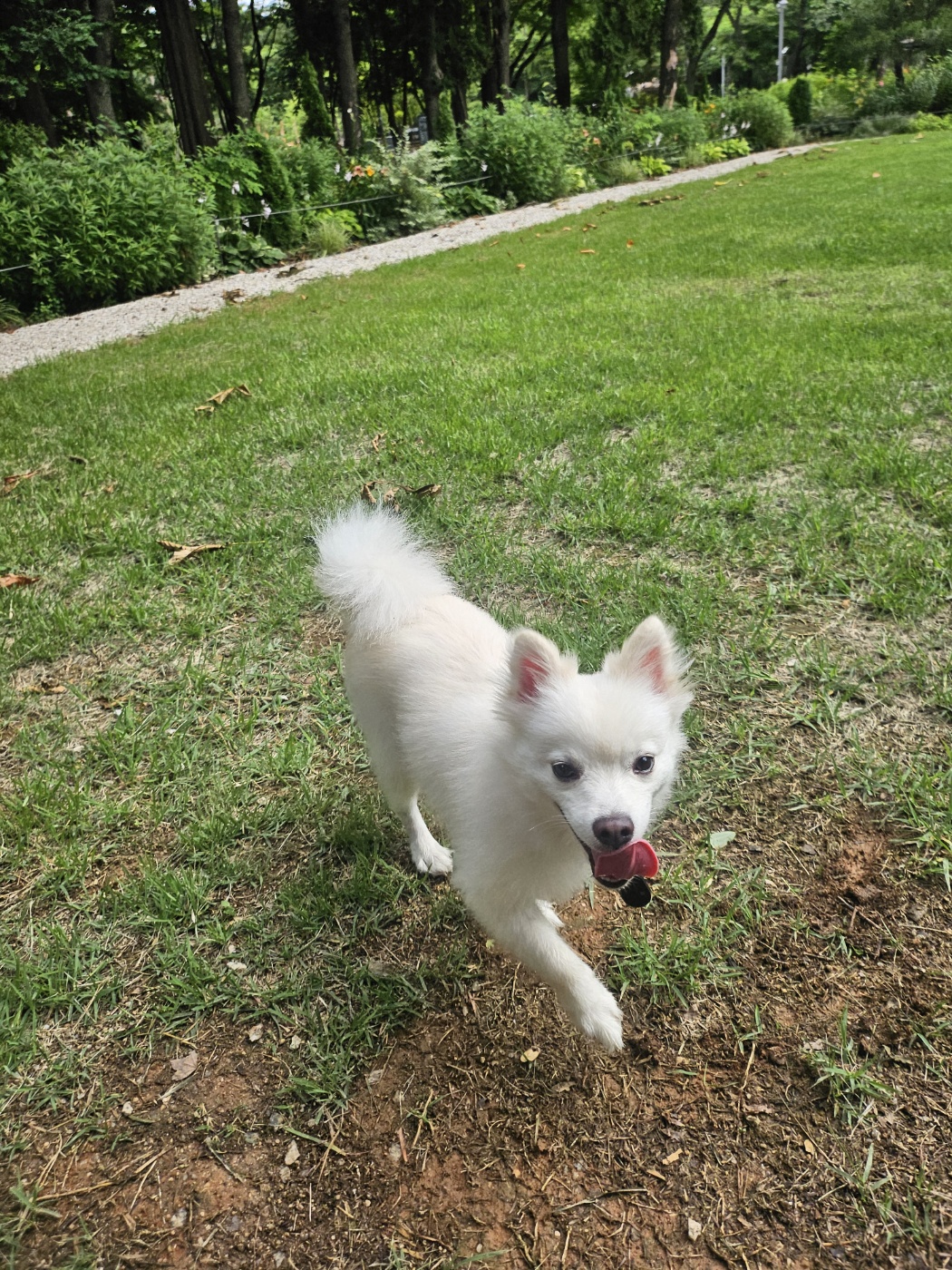 코인이 입양 4개월