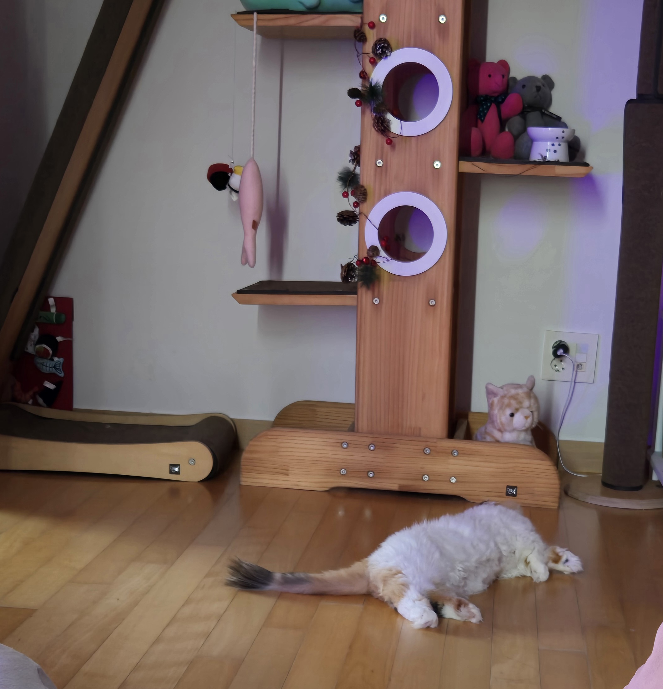 크룩섕스(알코) 6개월차 후기남겨요