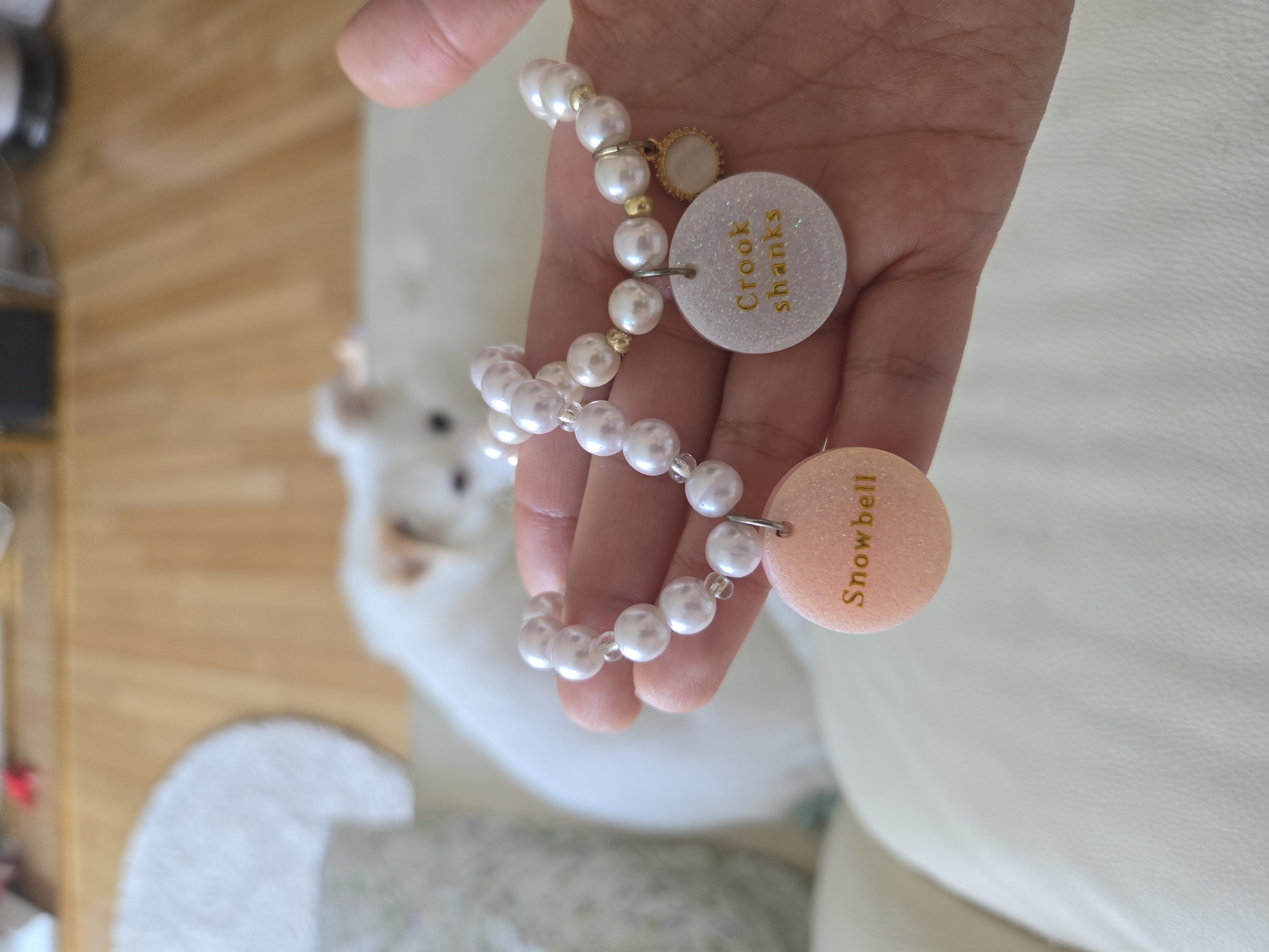 크룩섕스(알코) 6개월차 후기남겨요