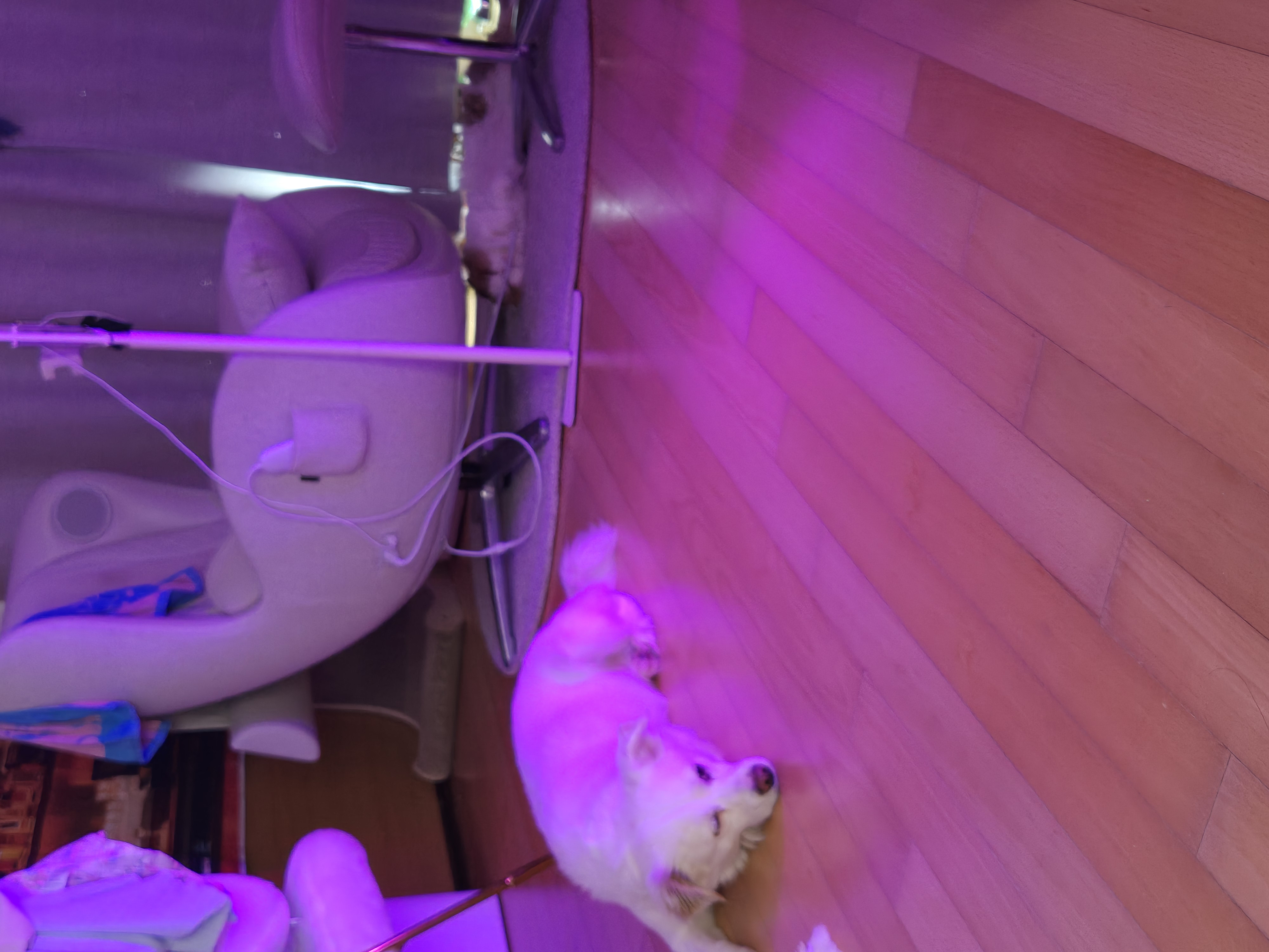 크룩섕스(알코) 6개월차 후기남겨요