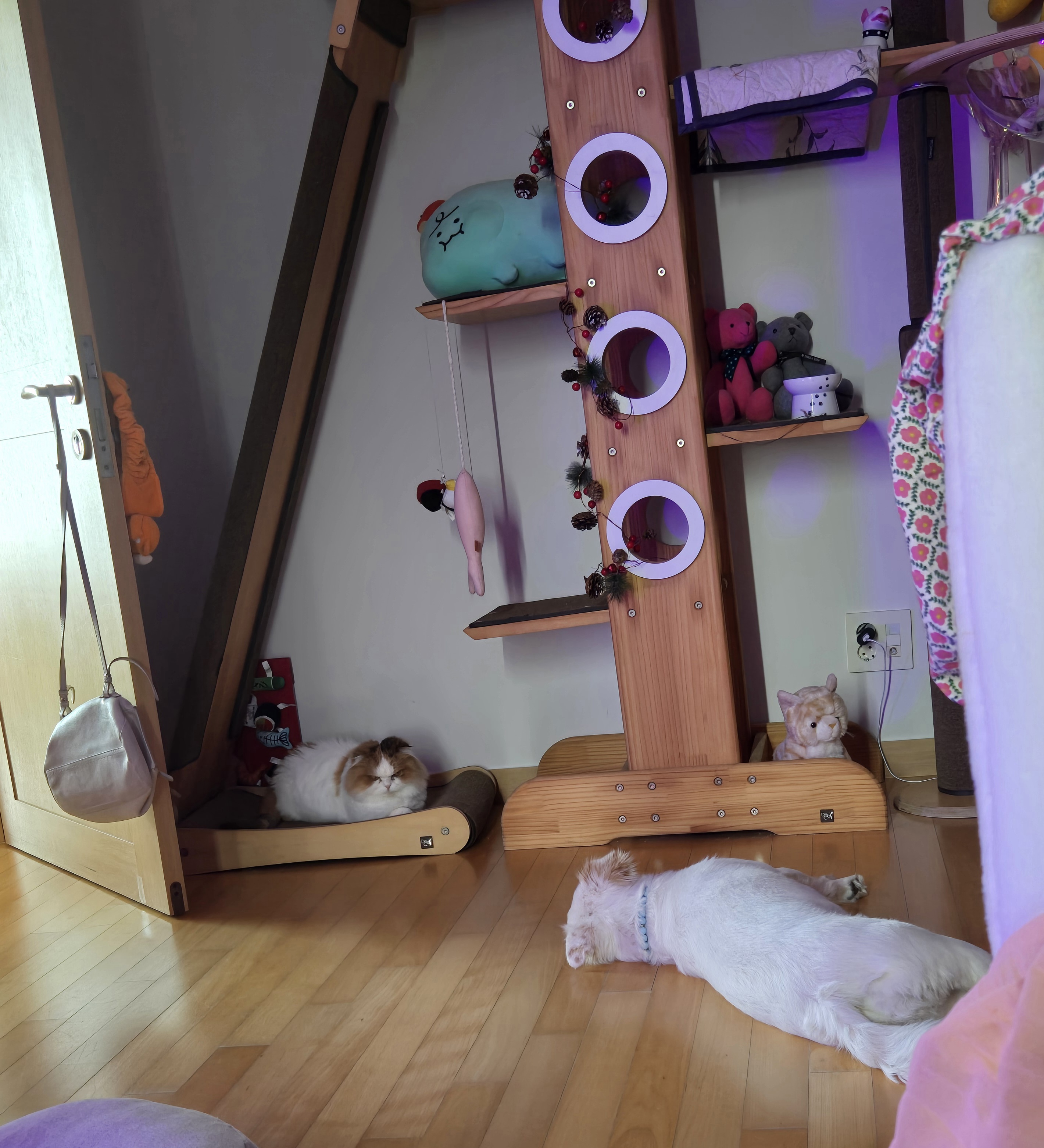 크룩섕스(알코) 6개월차 후기남겨요