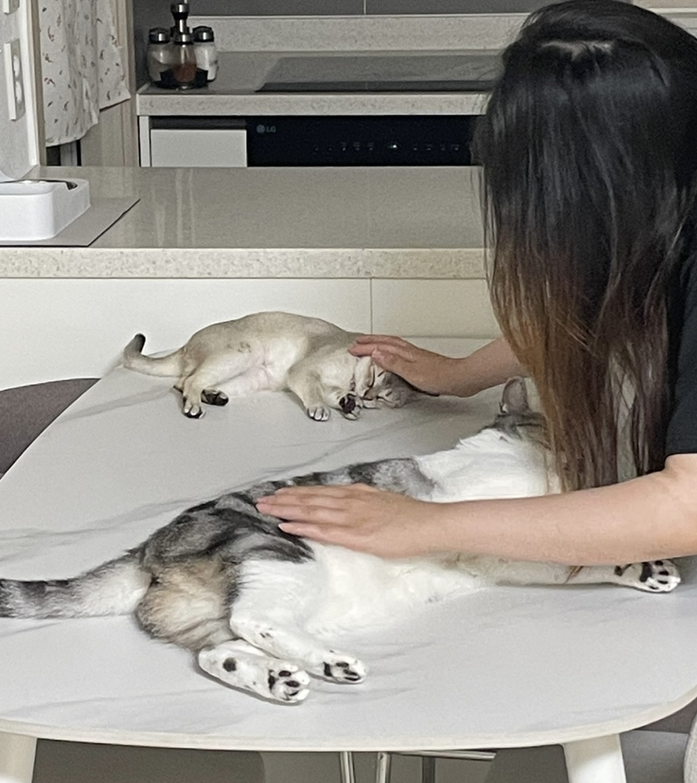 보리(순이)의 막내 일주일 후기!