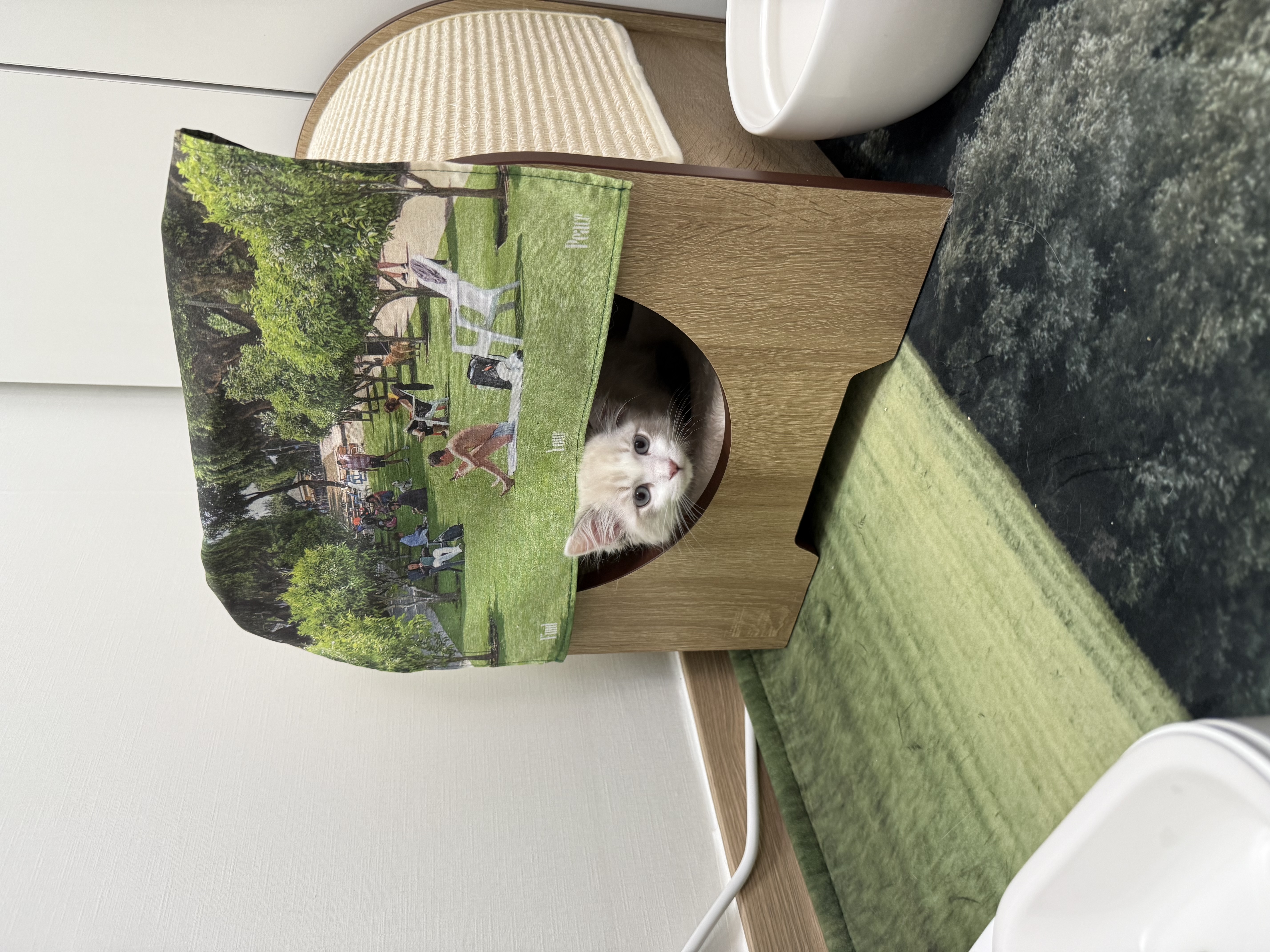 고로롱과의 일주일:) <울산 구조묘 동둘이>