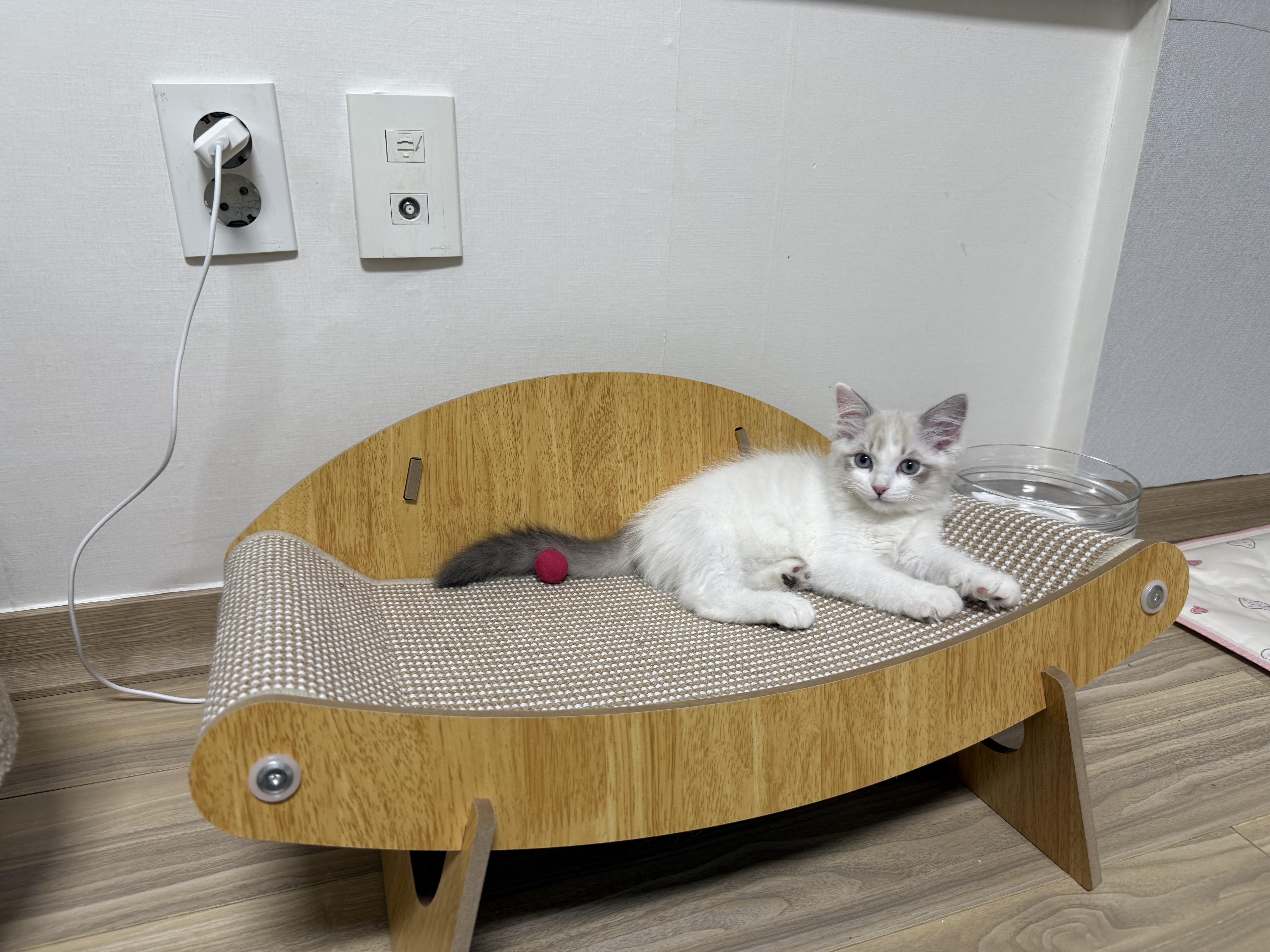 고로롱과의 일주일:) <울산 구조묘 동둘이>