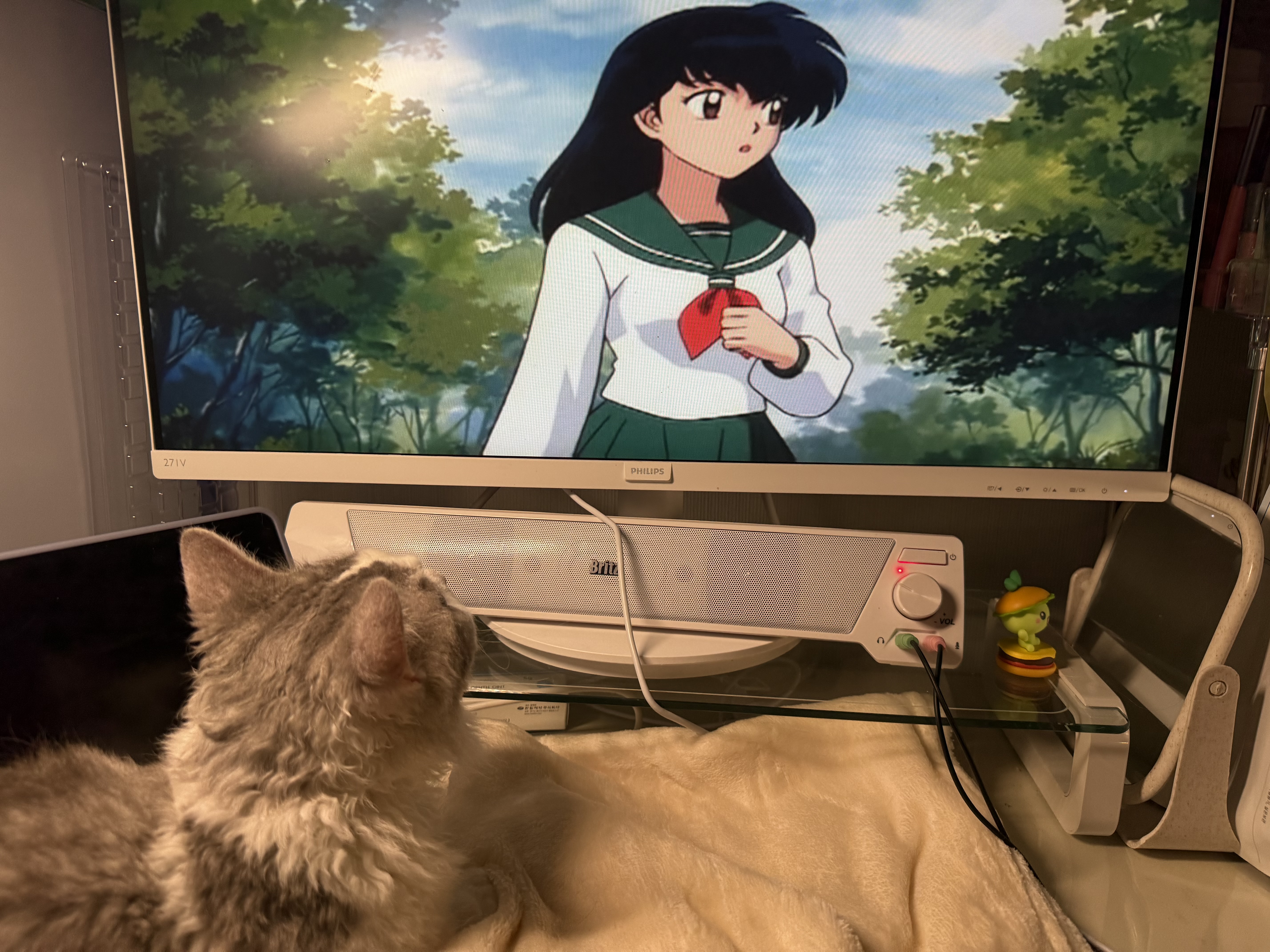 세상에 둘도 없는 천사냥 단비(몽땅이) 3개월차 후기