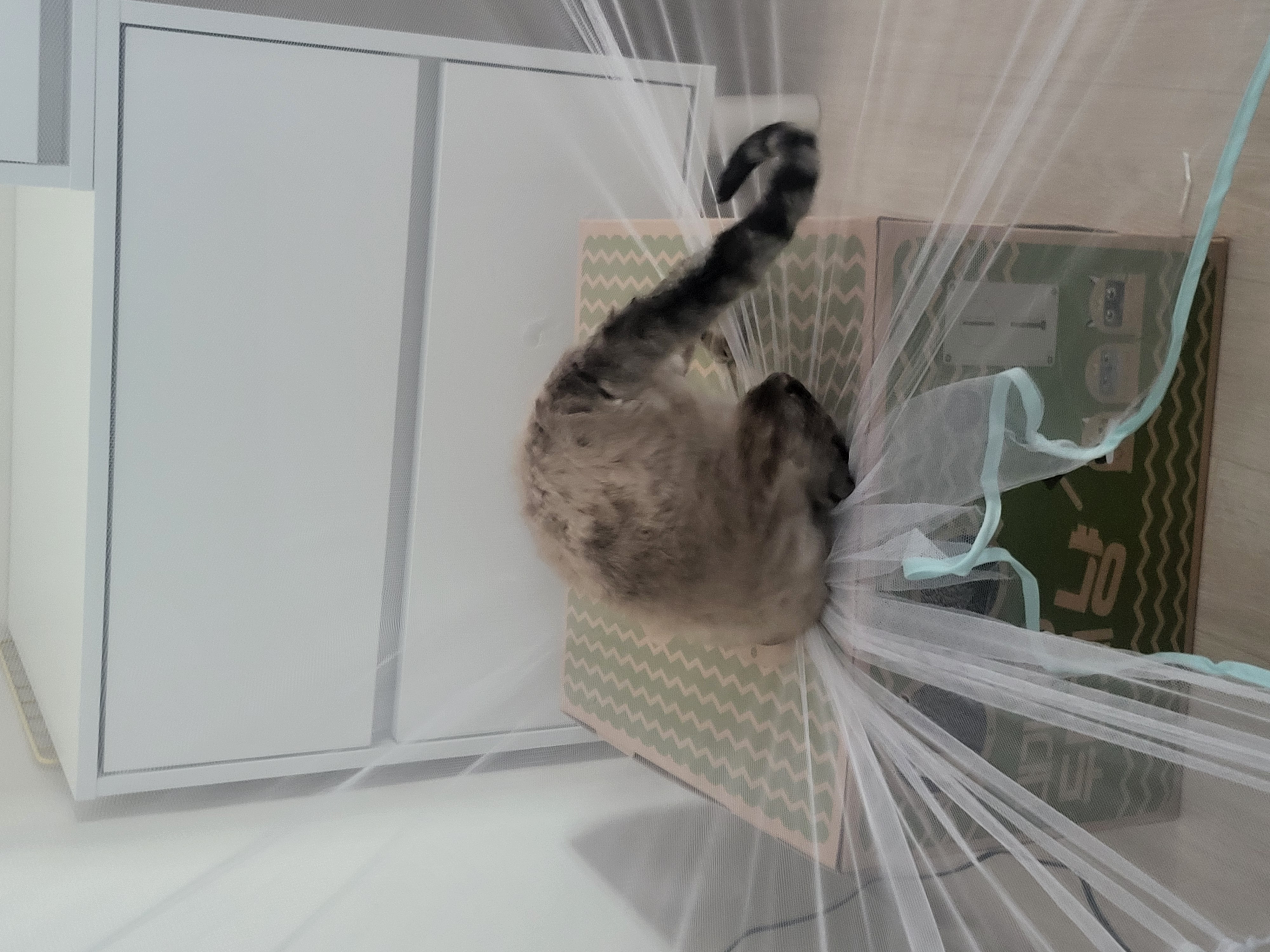 콘팡이와 함께한 한달간의 이야기