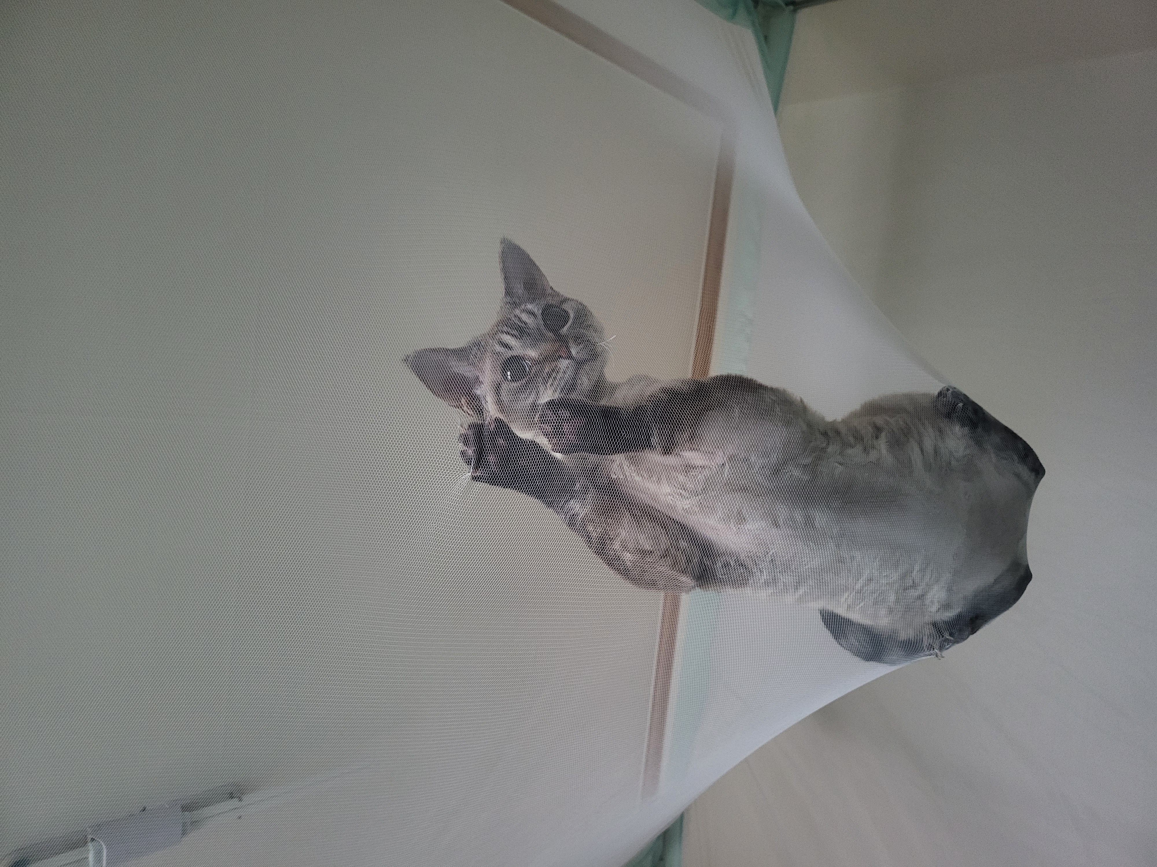 콘팡이와 함께한 한달간의 이야기