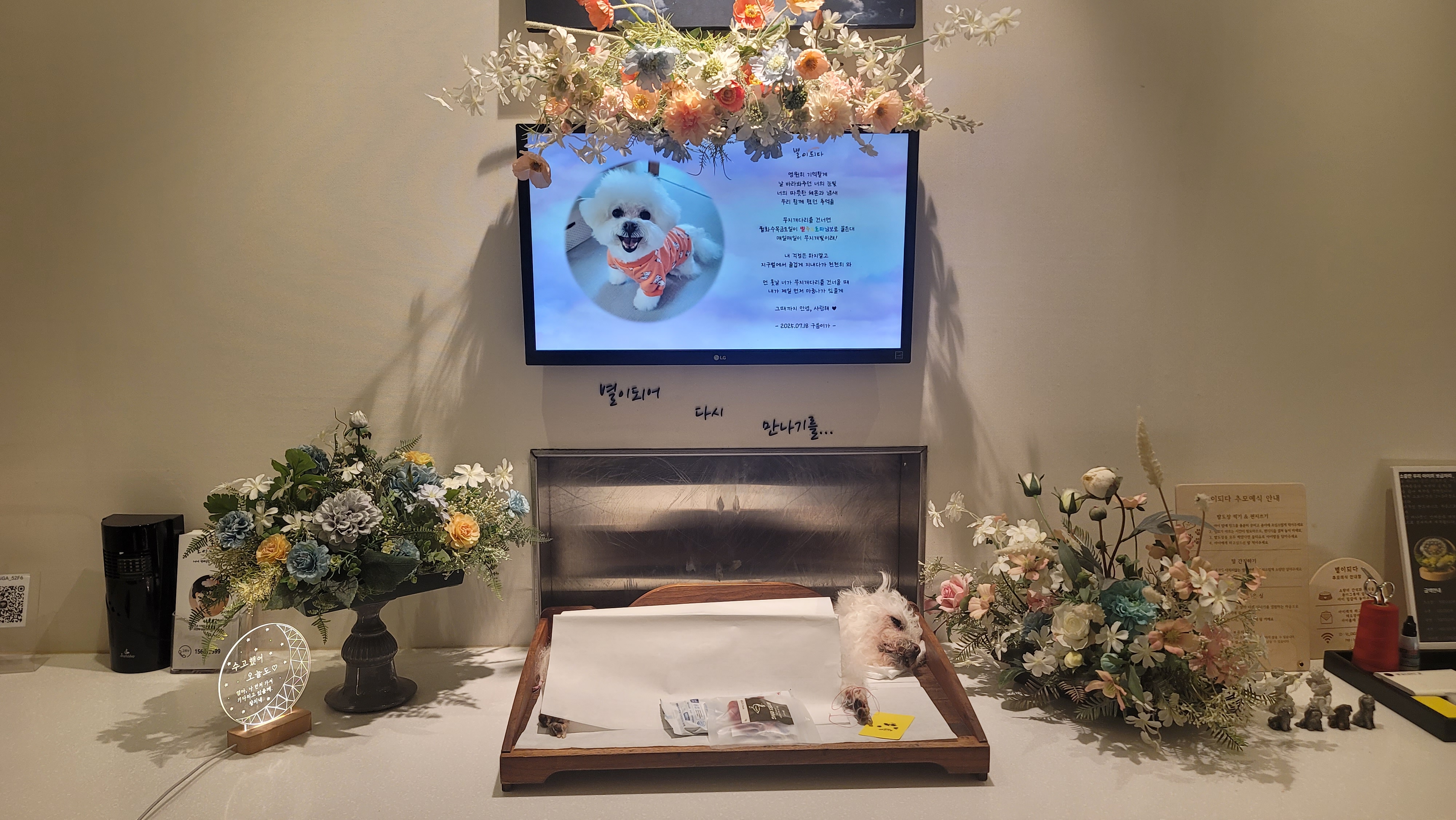 구름이와 봄이 소식 (하음.하삼)