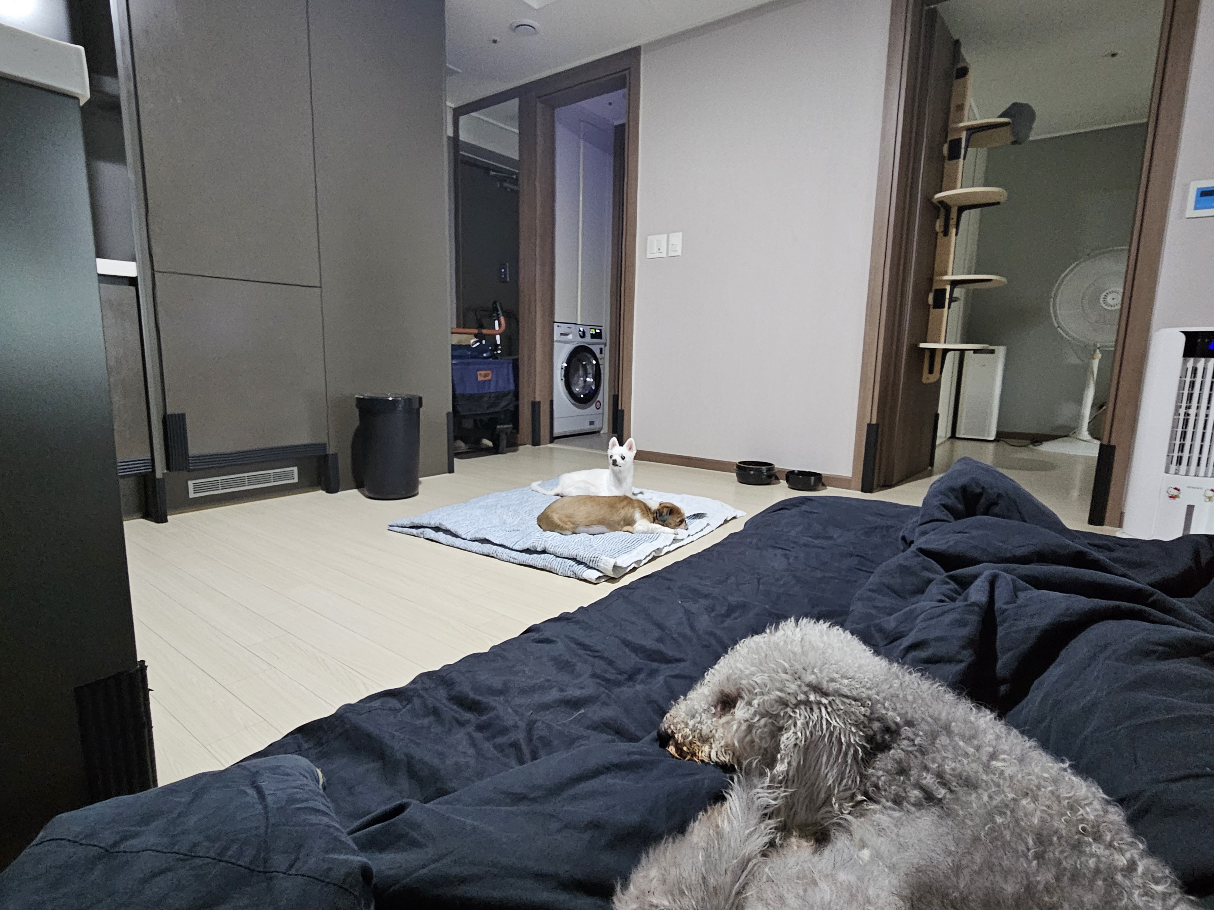 포옹이 잘  있습니다
