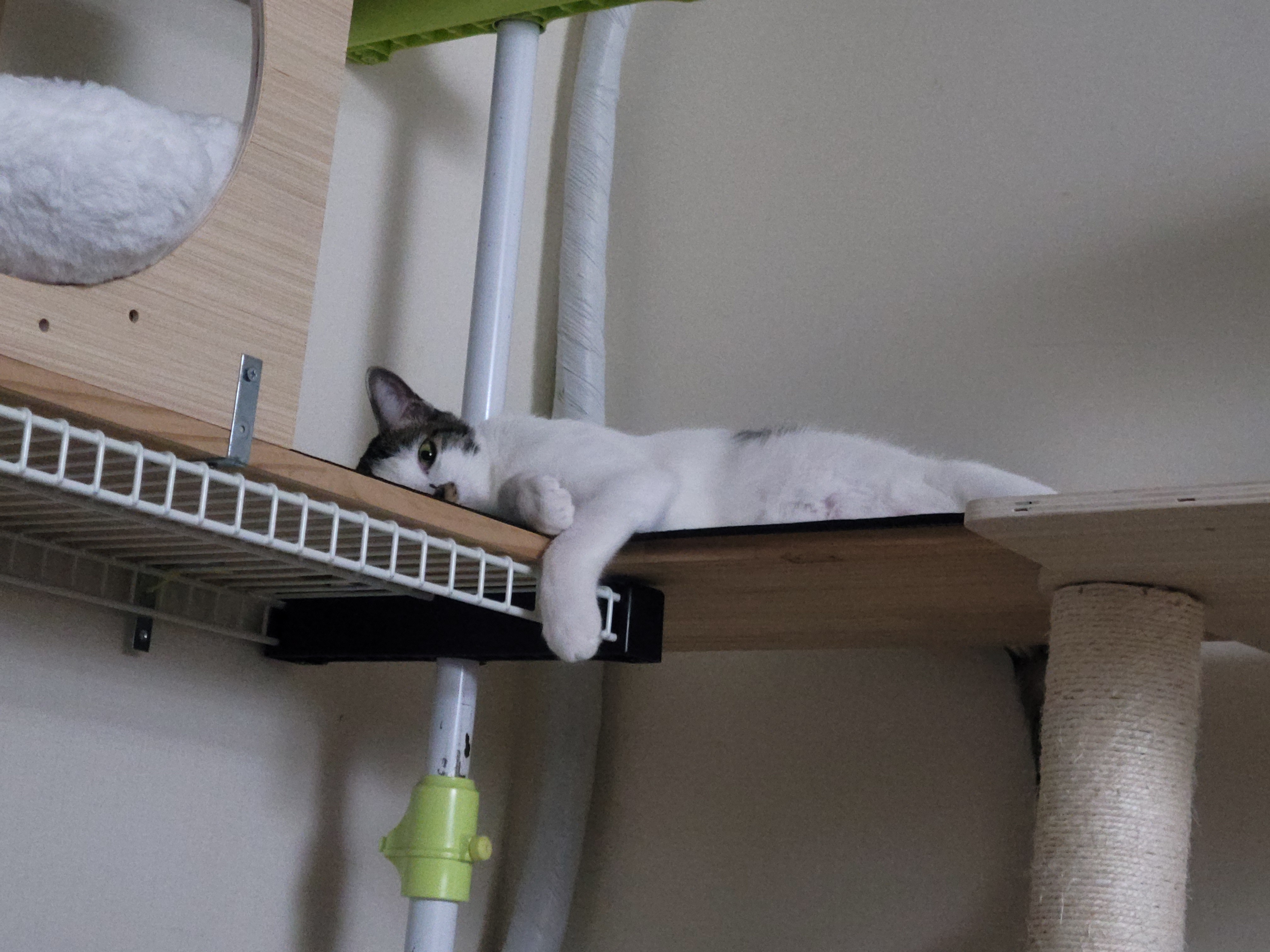 우동이 3개월 이후