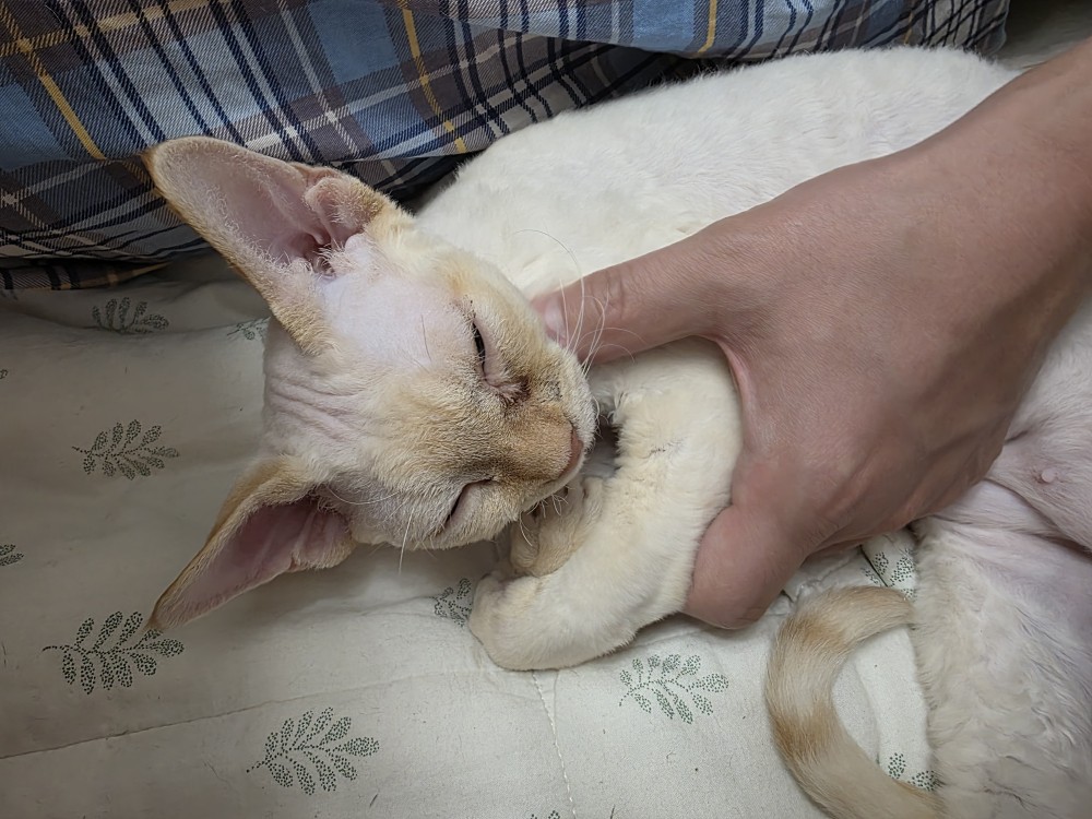 단하 3개월 간의 기록