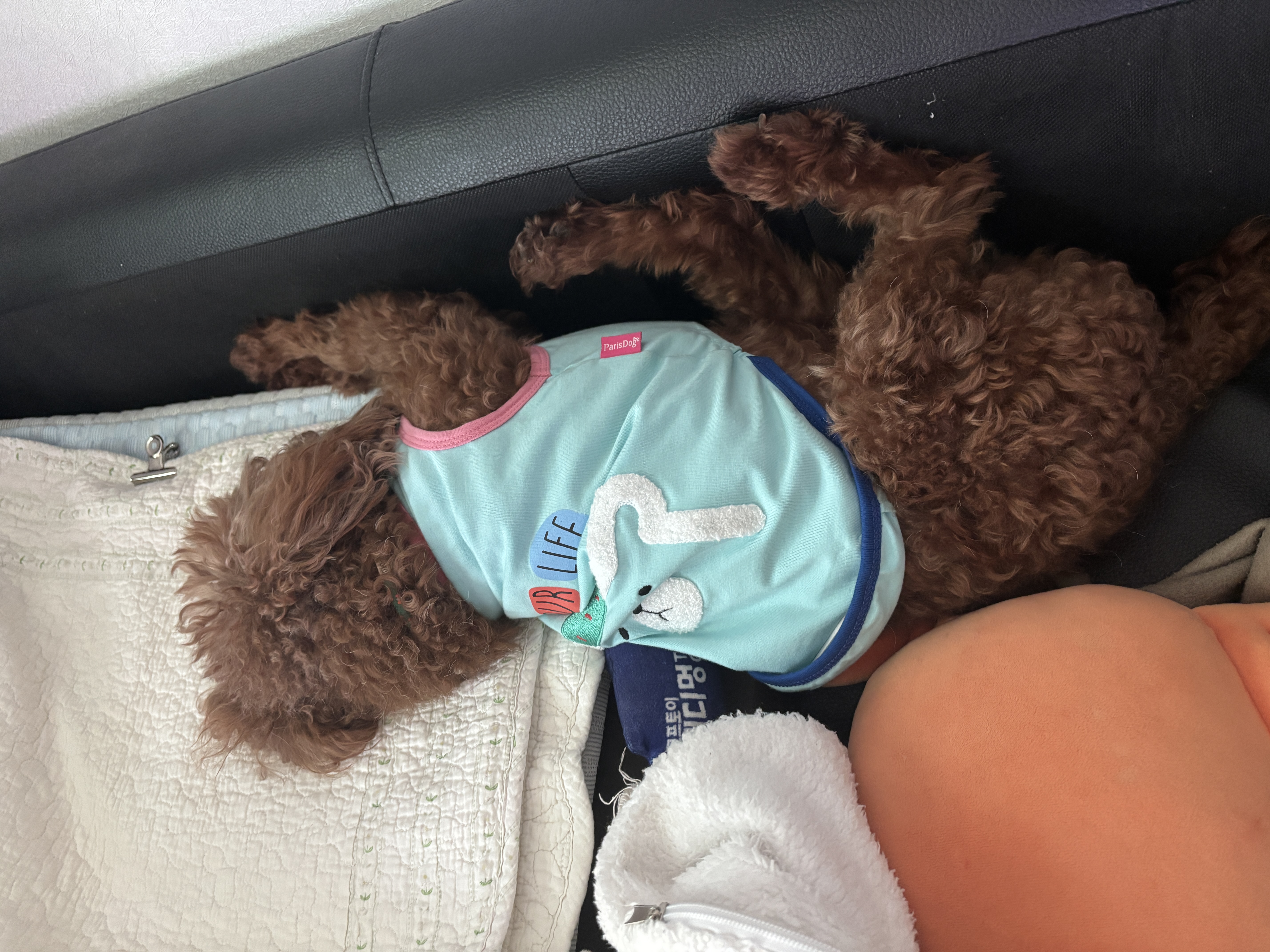 보사의 예방접종 ~ 