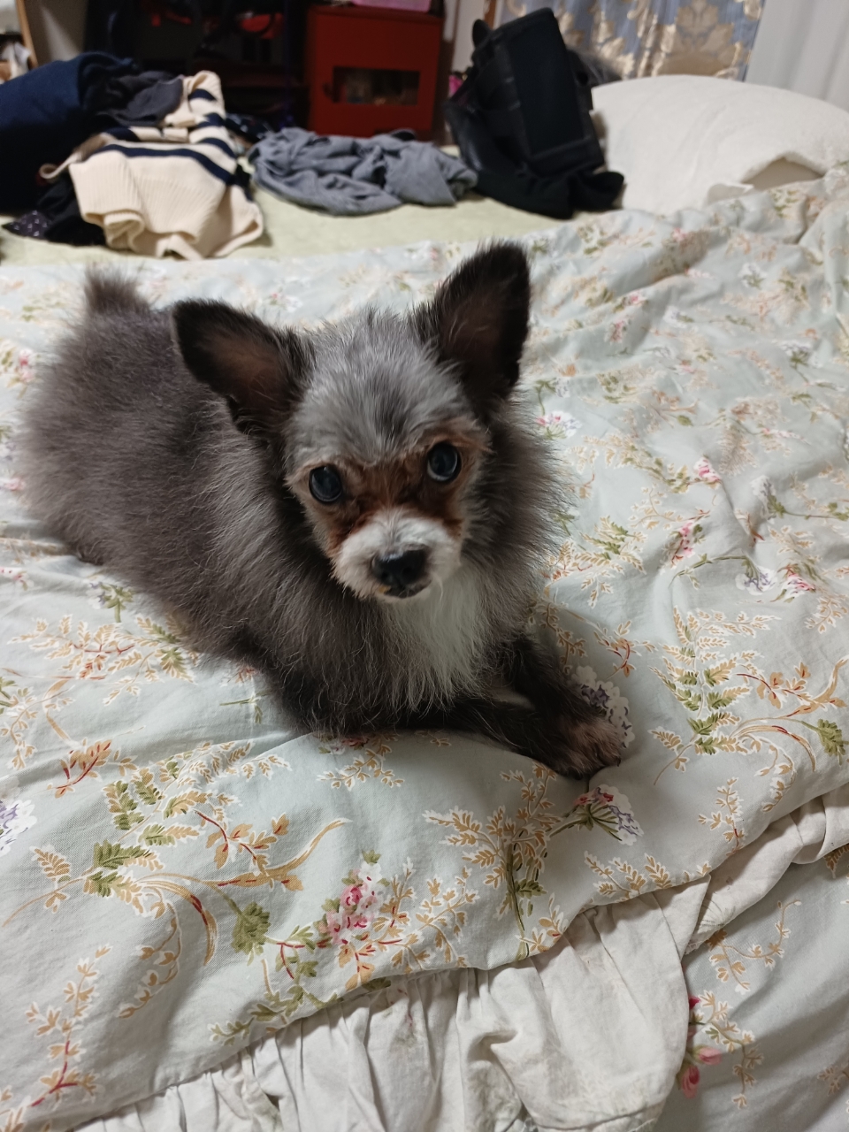 소피 잘지내고 있어요~