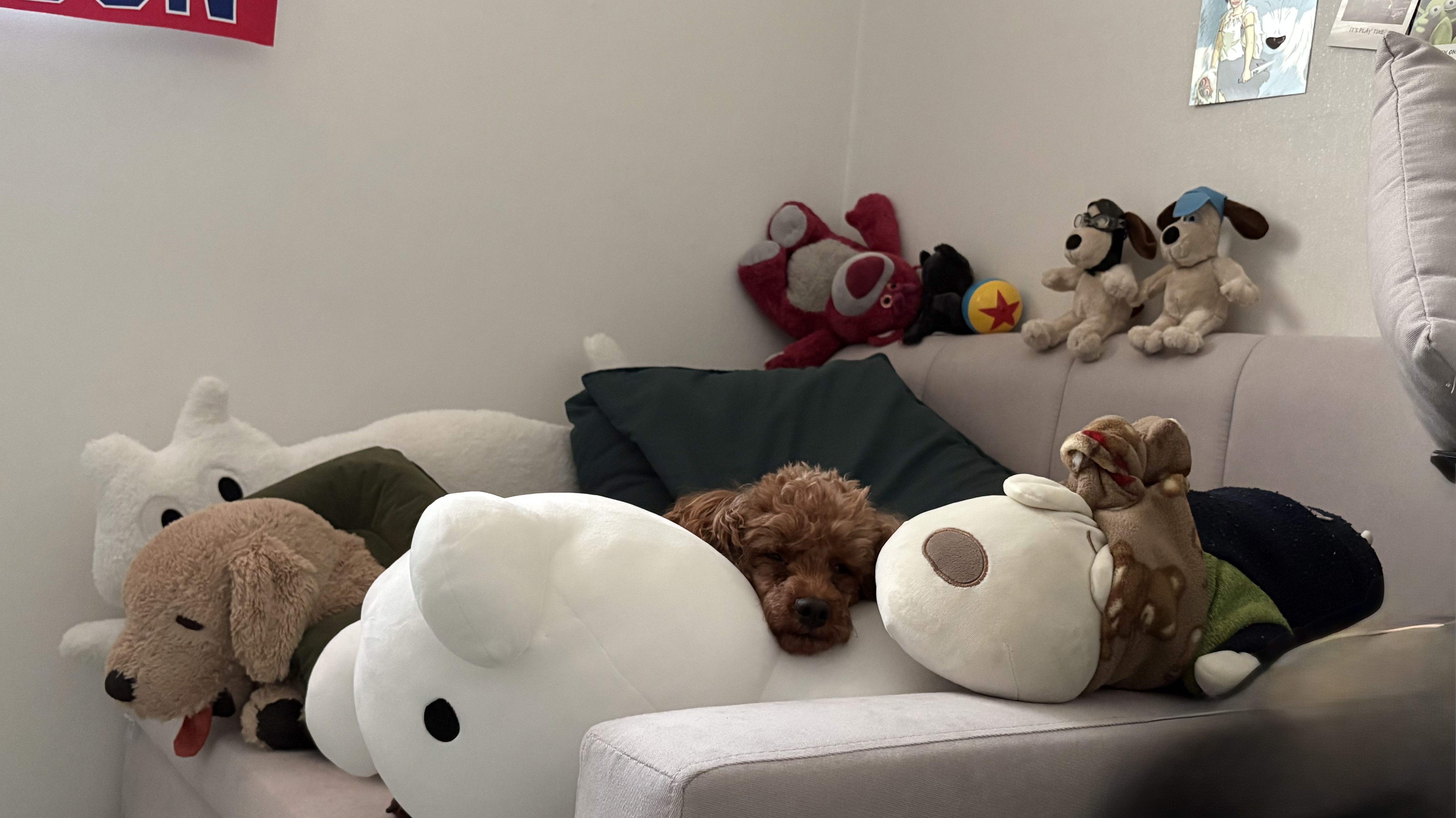 보사의 3개월 후기 