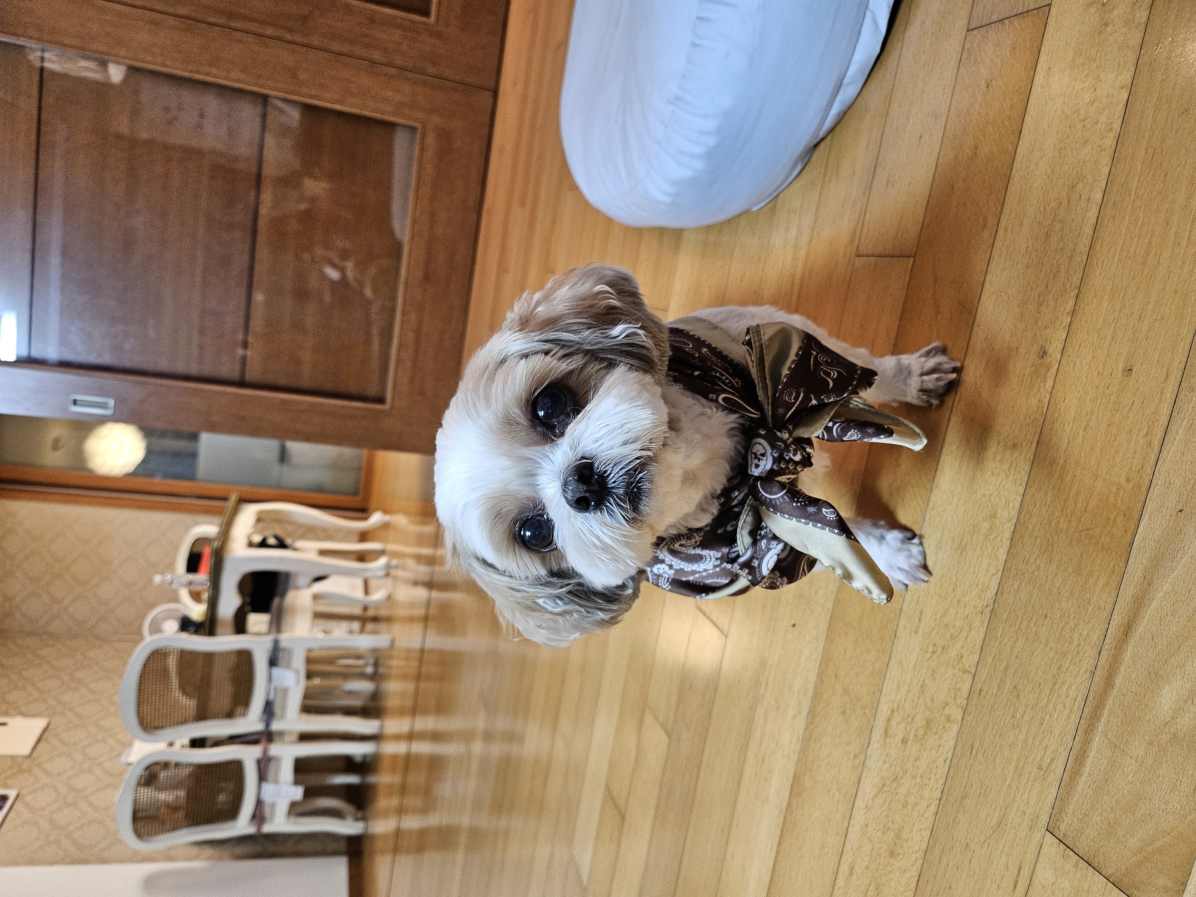 (에밀리_양구28) 튼튼이 이년차 후기