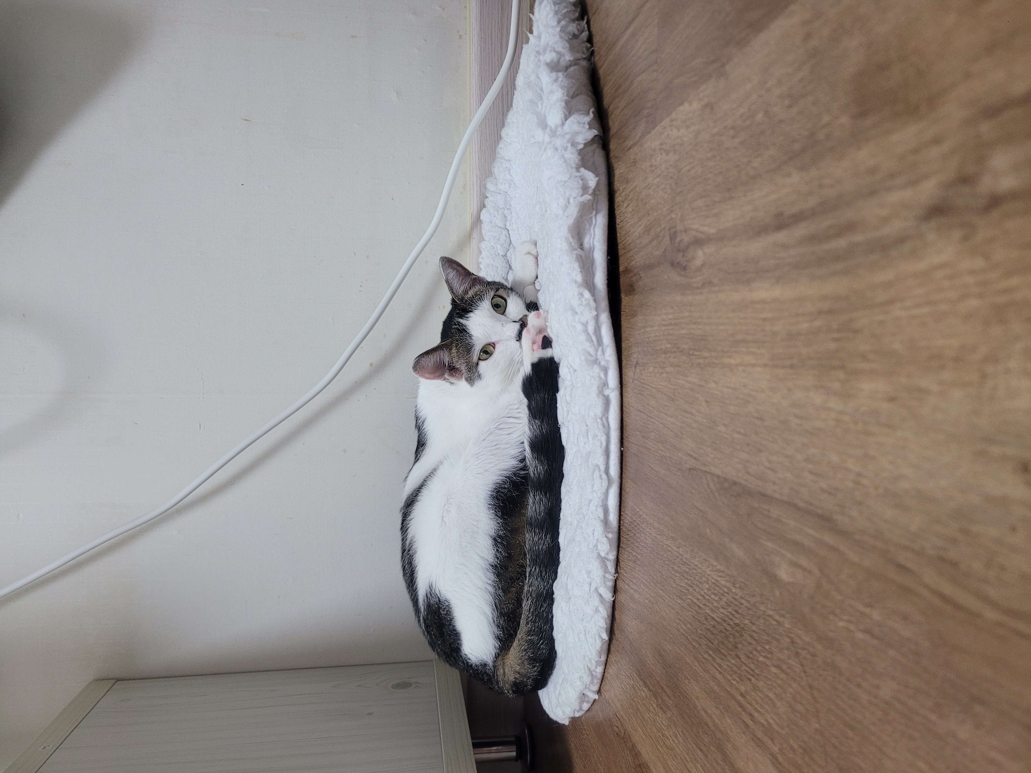 우동이 3개월 이후