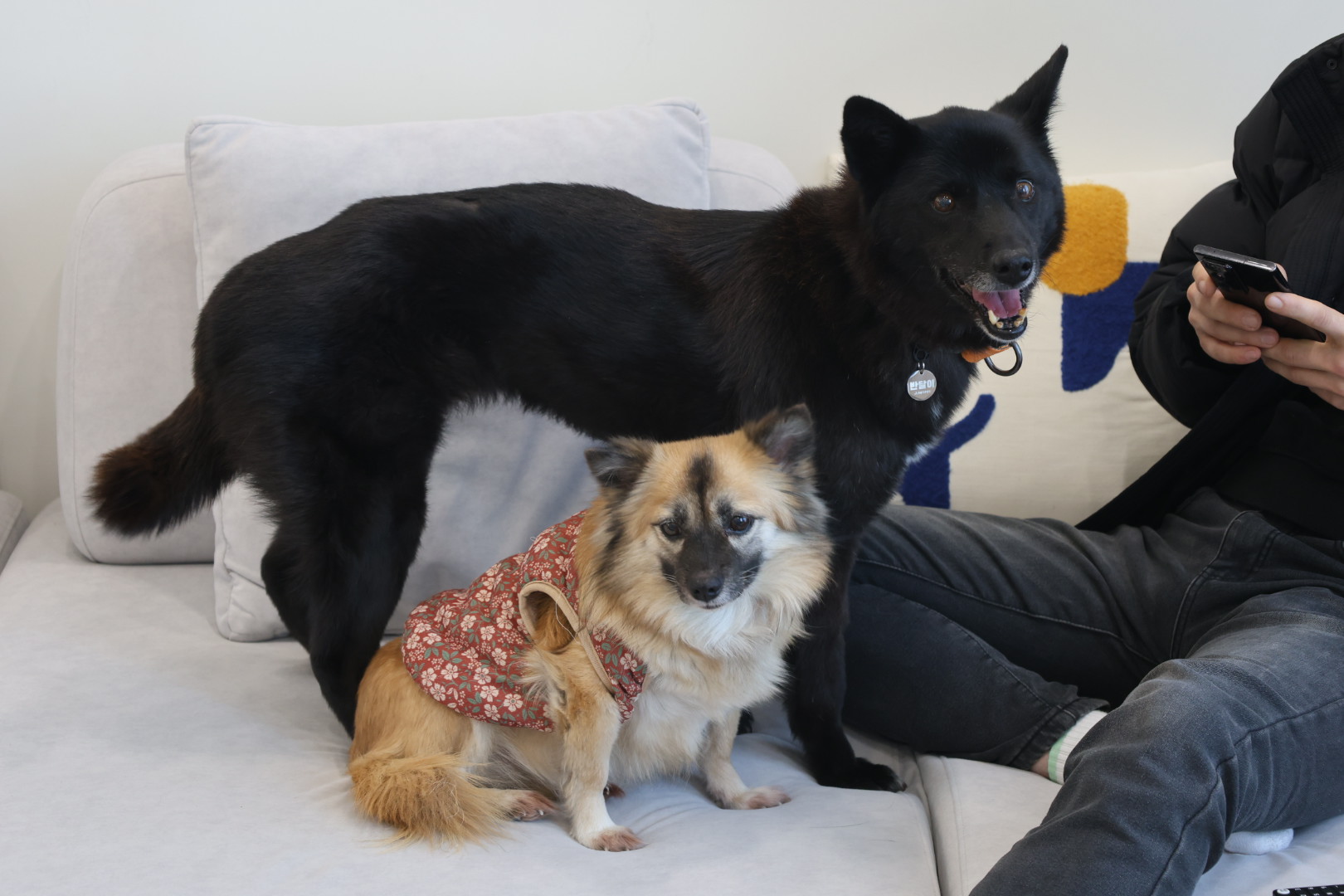 반달이 케일이 경주여행