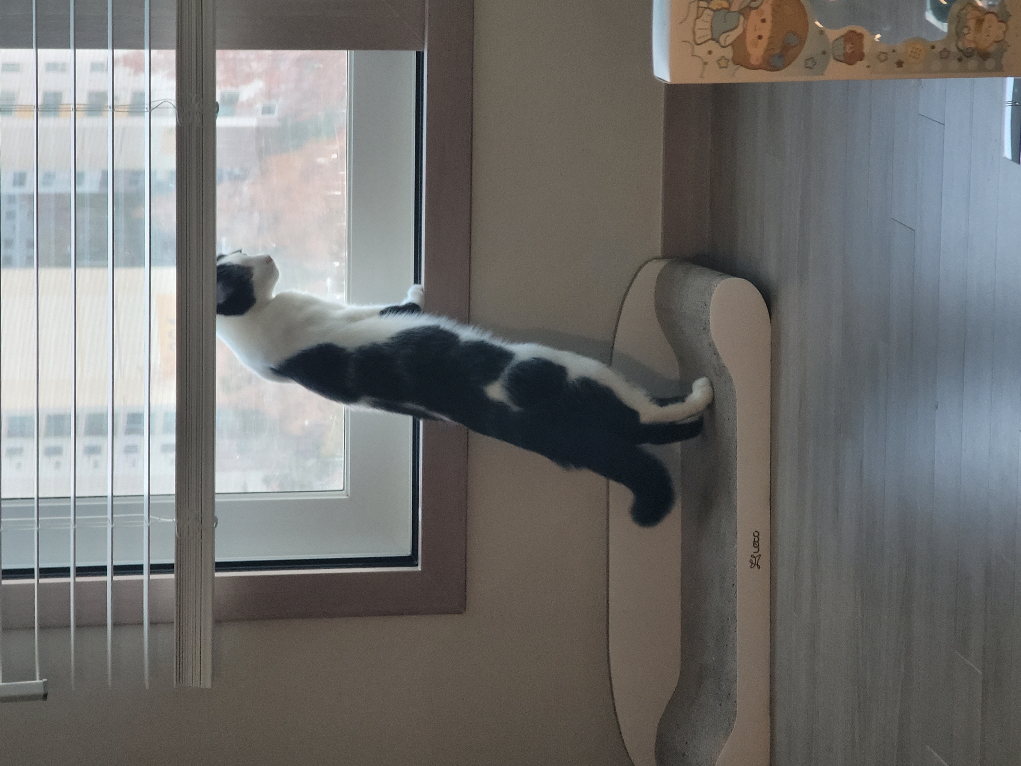 우주는 조금씩, 그러나 열심히 탐색과 적응을 하고 있습니다.