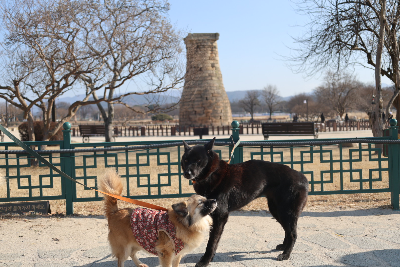 반달이 케일이 경주여행