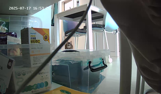 마동이(현 후추)의 일주일 이야기