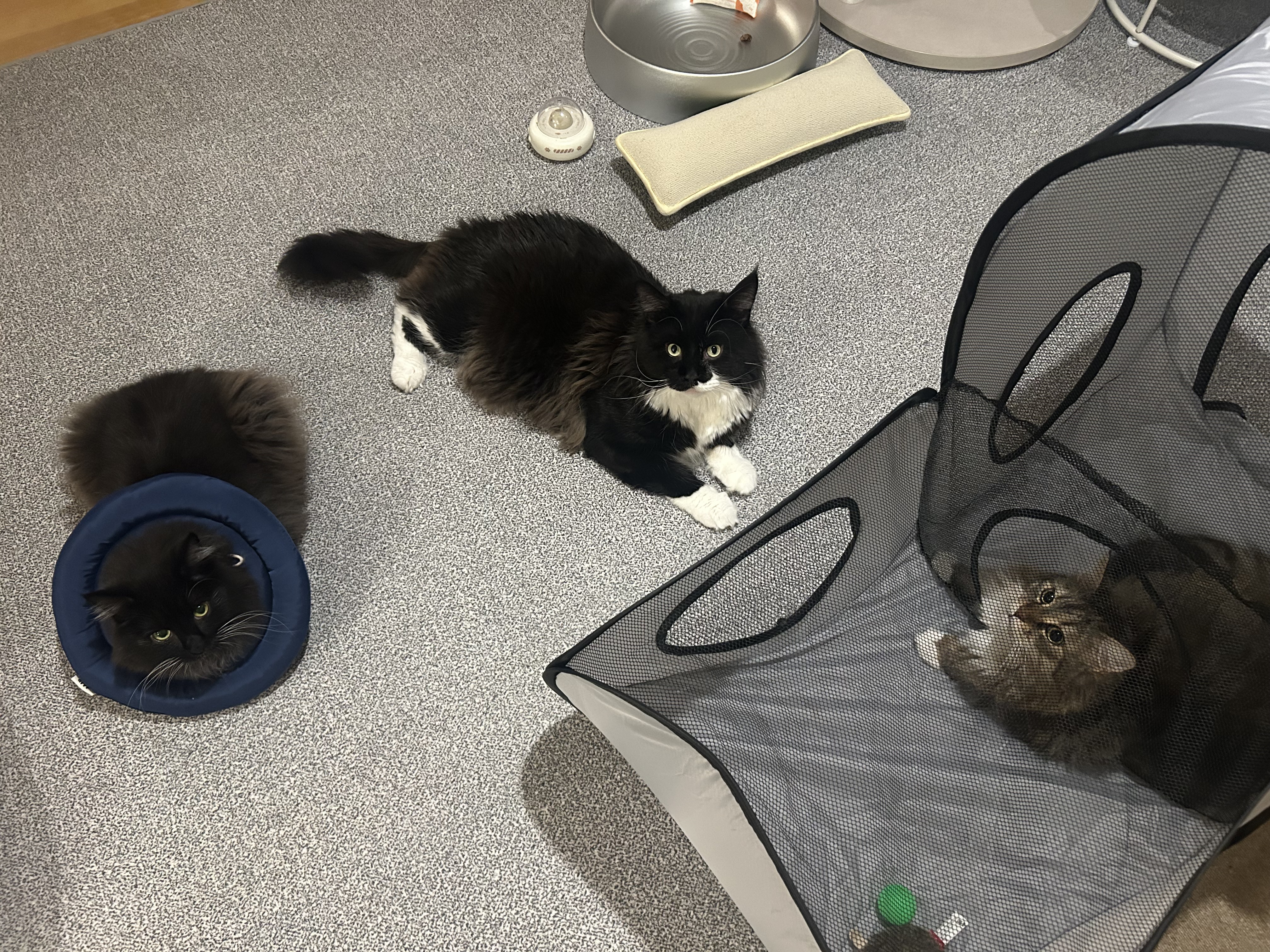 산이(인쿤이)와의 1년