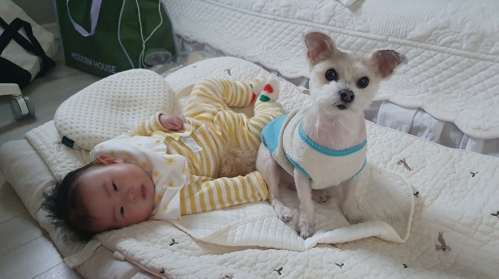 산쵸(구 오유)와 함께한 3년!