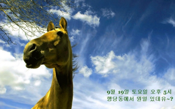 임시총회! 내일입니다.
