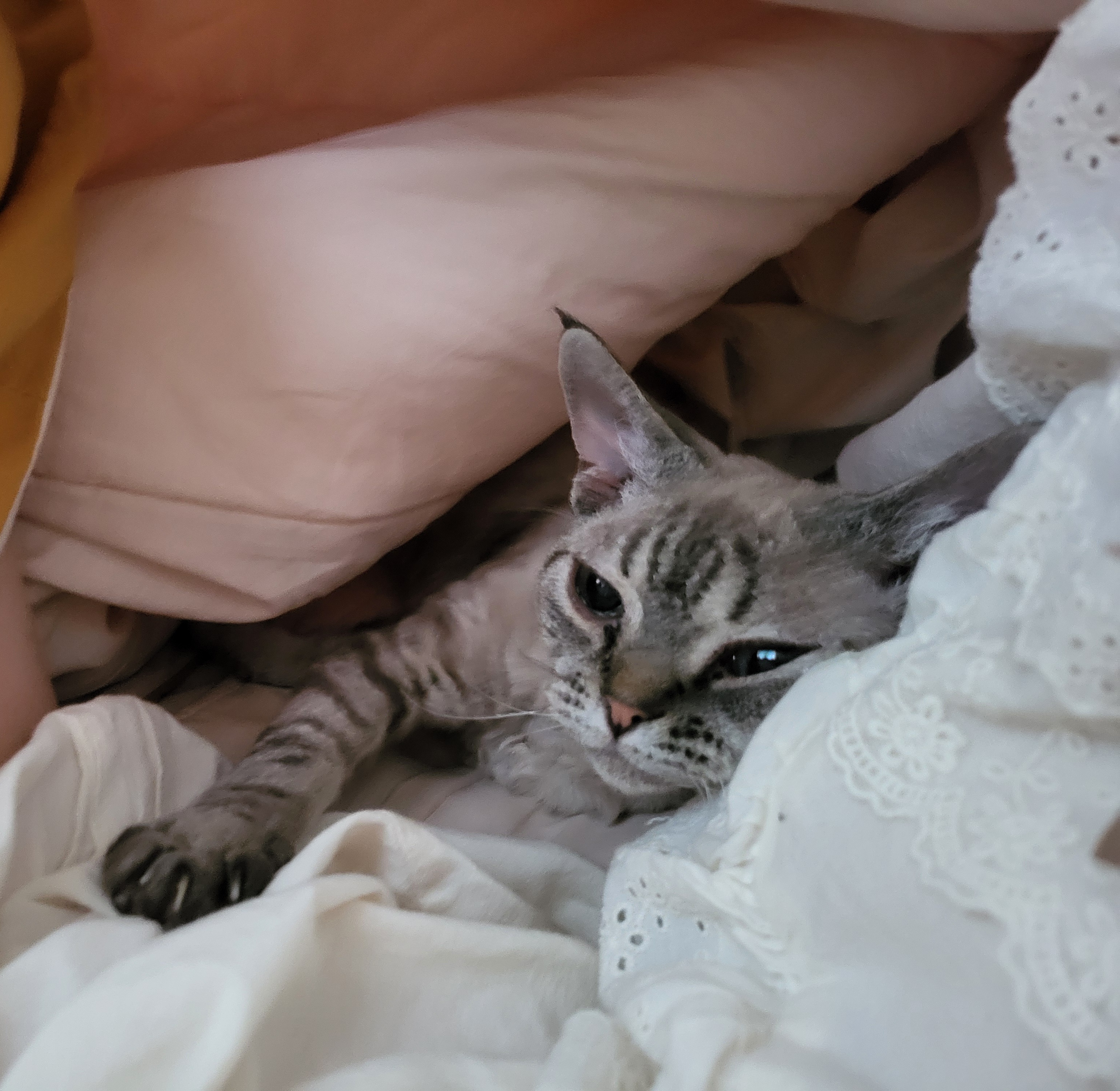 콘팡이와 함께하는 나날들