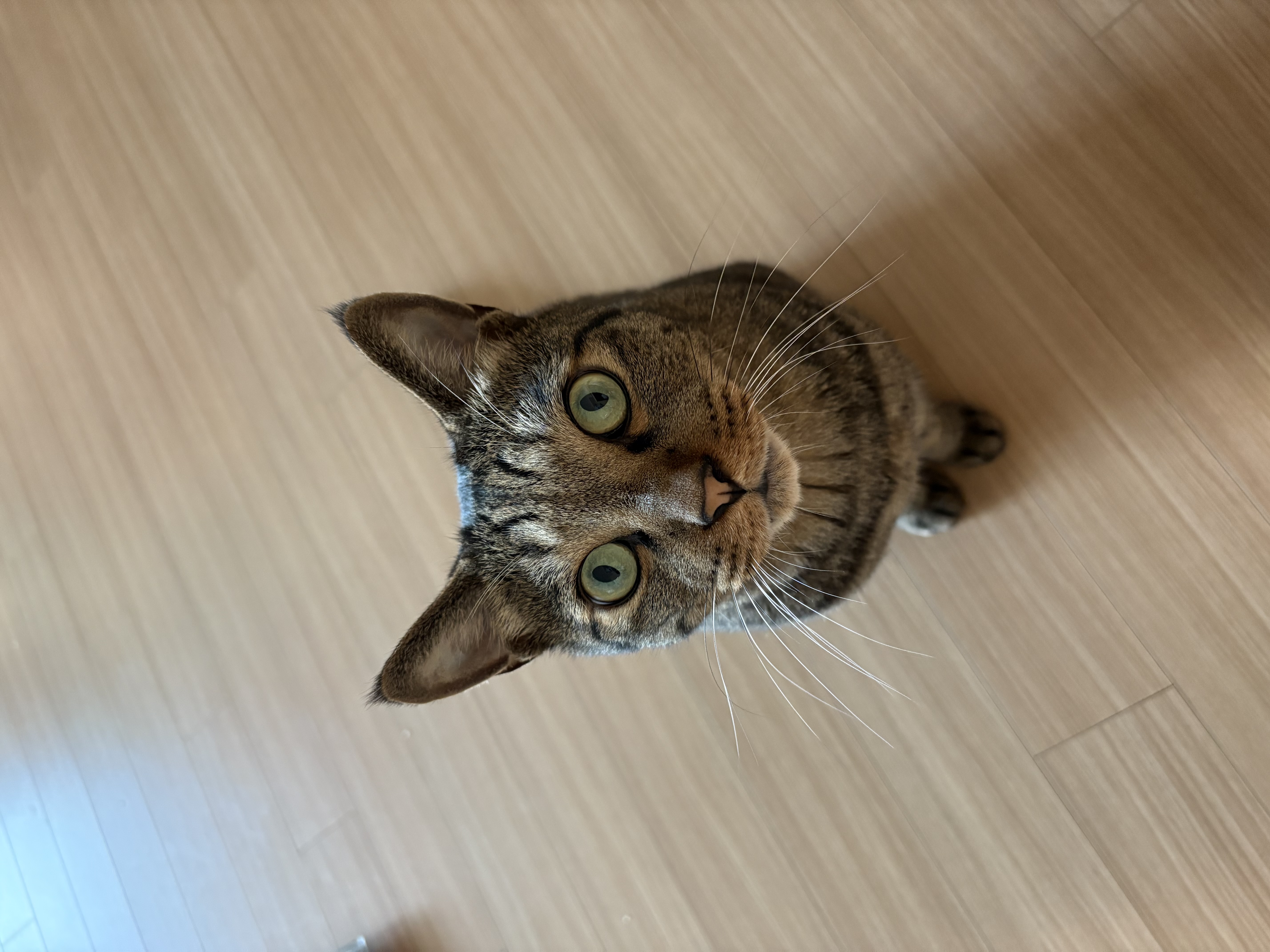 망덕이와 5주년