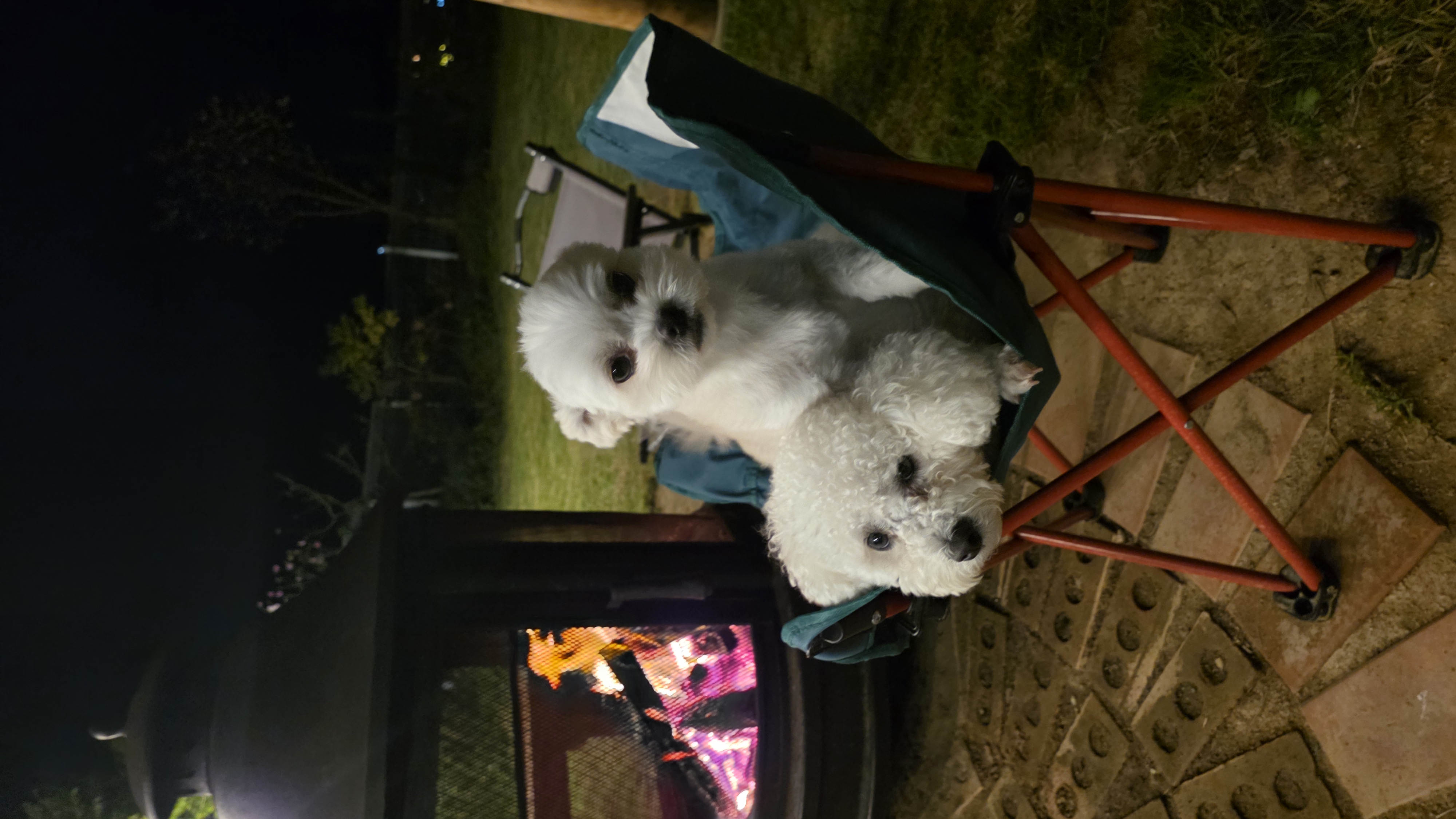 샤넬(구 아자)볼보(구 양삼)