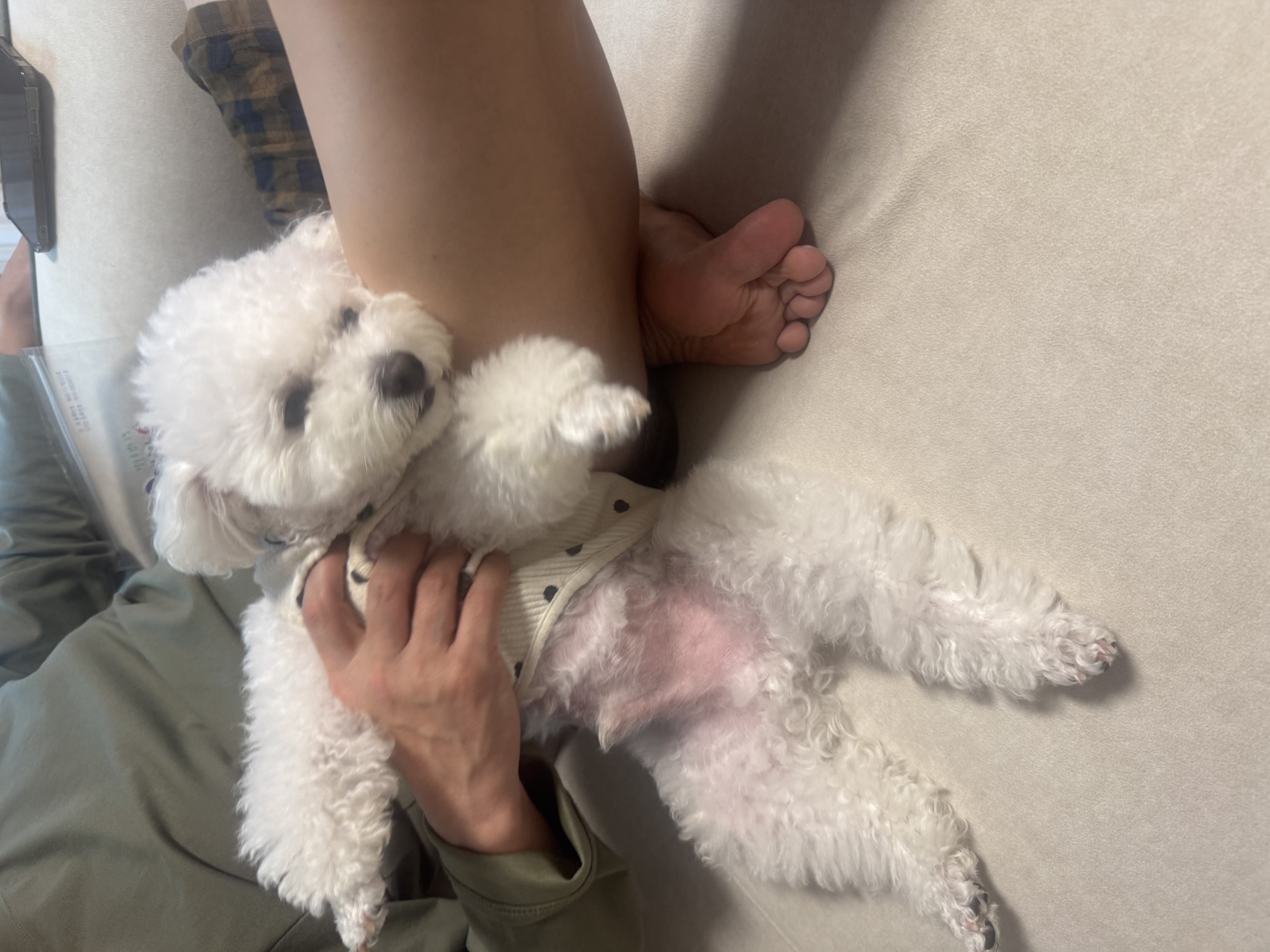 열무(구 아솜이)의 2년 3개월차 이야기