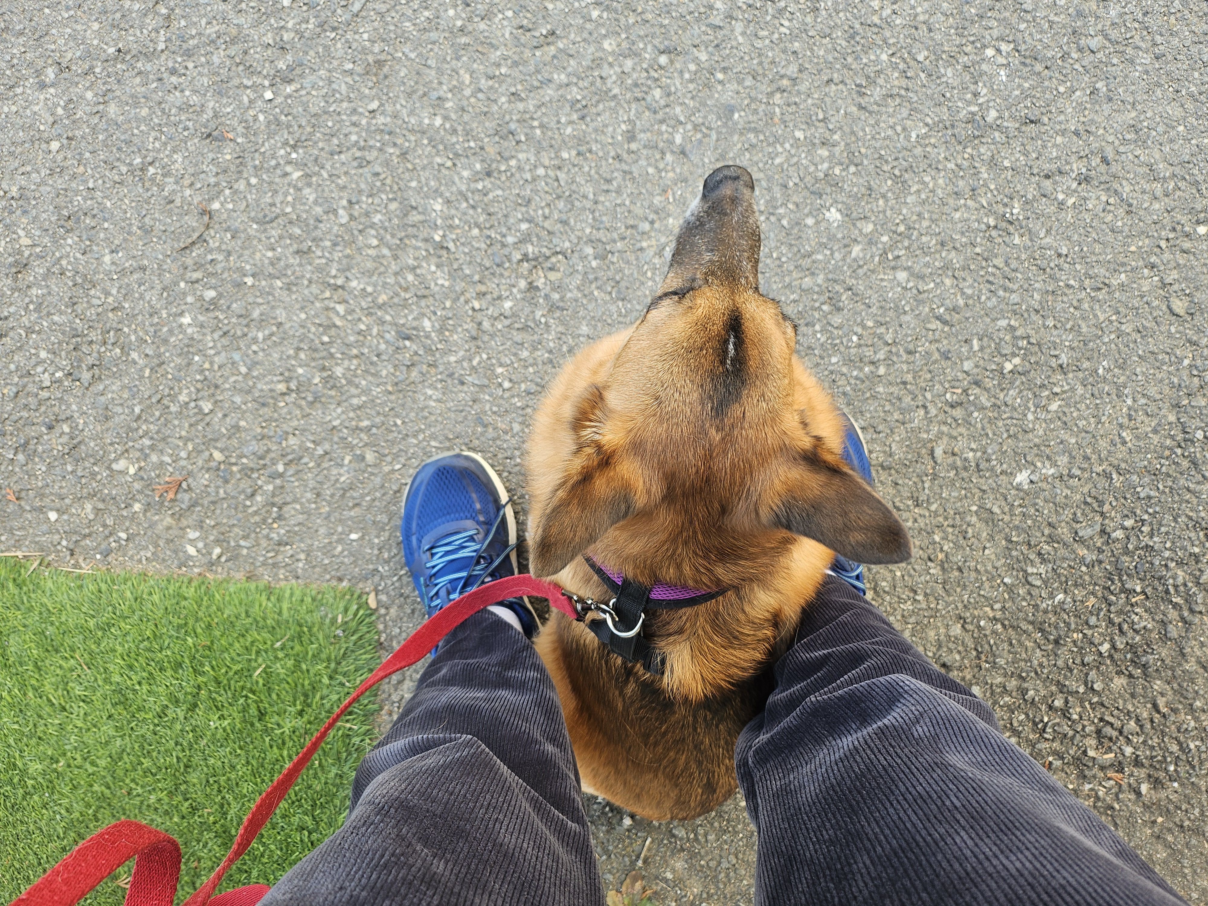 리카 새해인사드립니다.