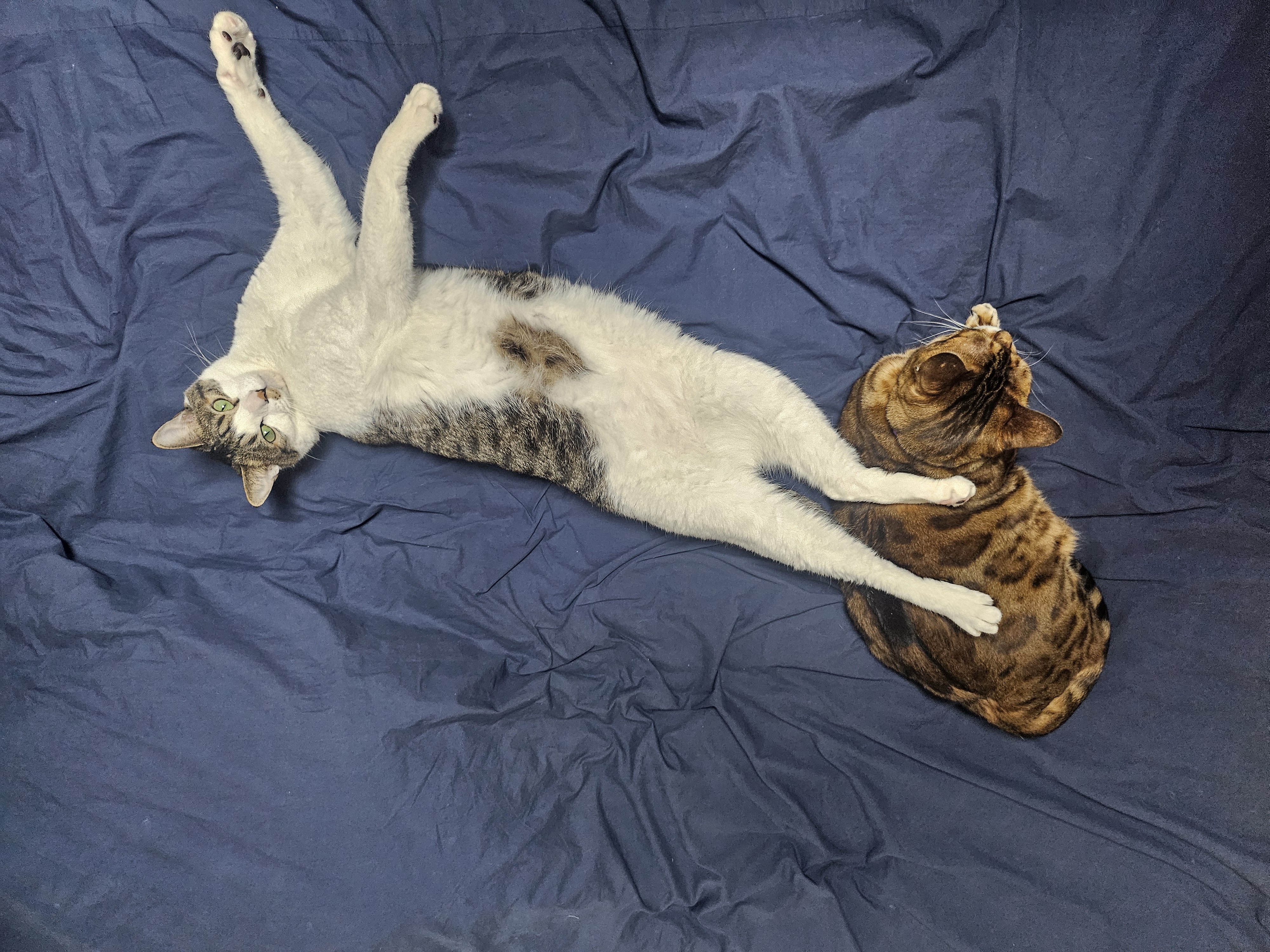 탄이와 또 새로운 2026년으로 (구.해성)