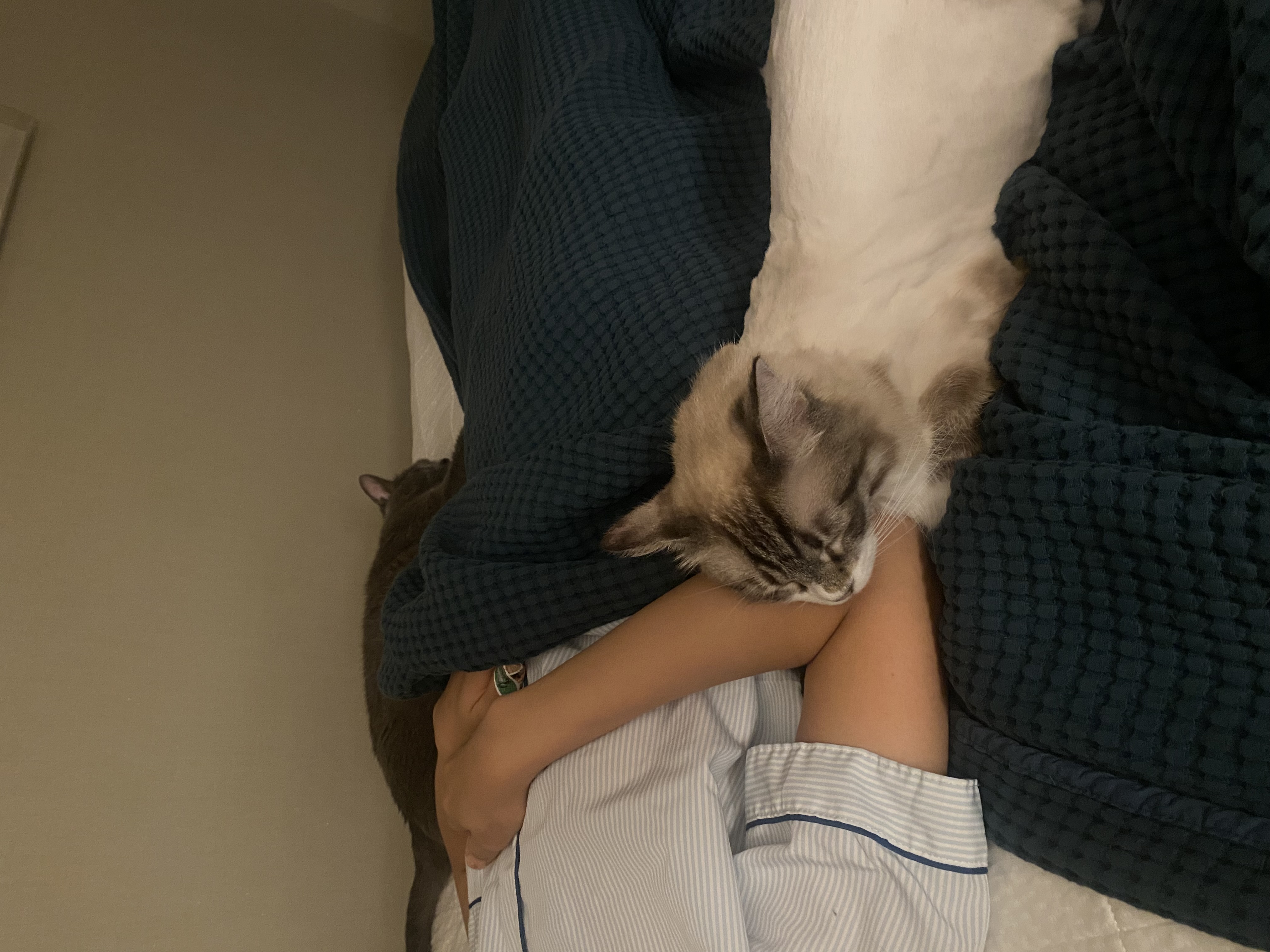 루나 (메리다) 조금 늦은 한달