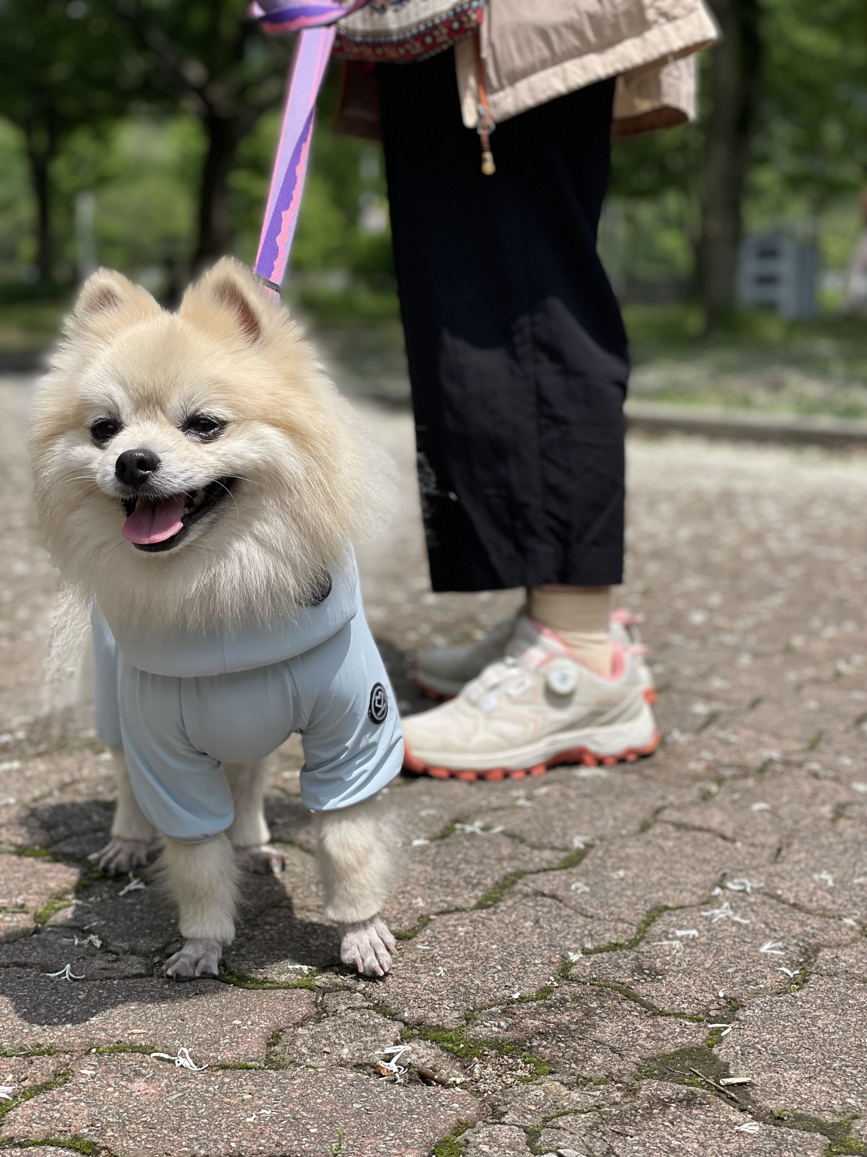 따봉(구 포키)이의 2025년