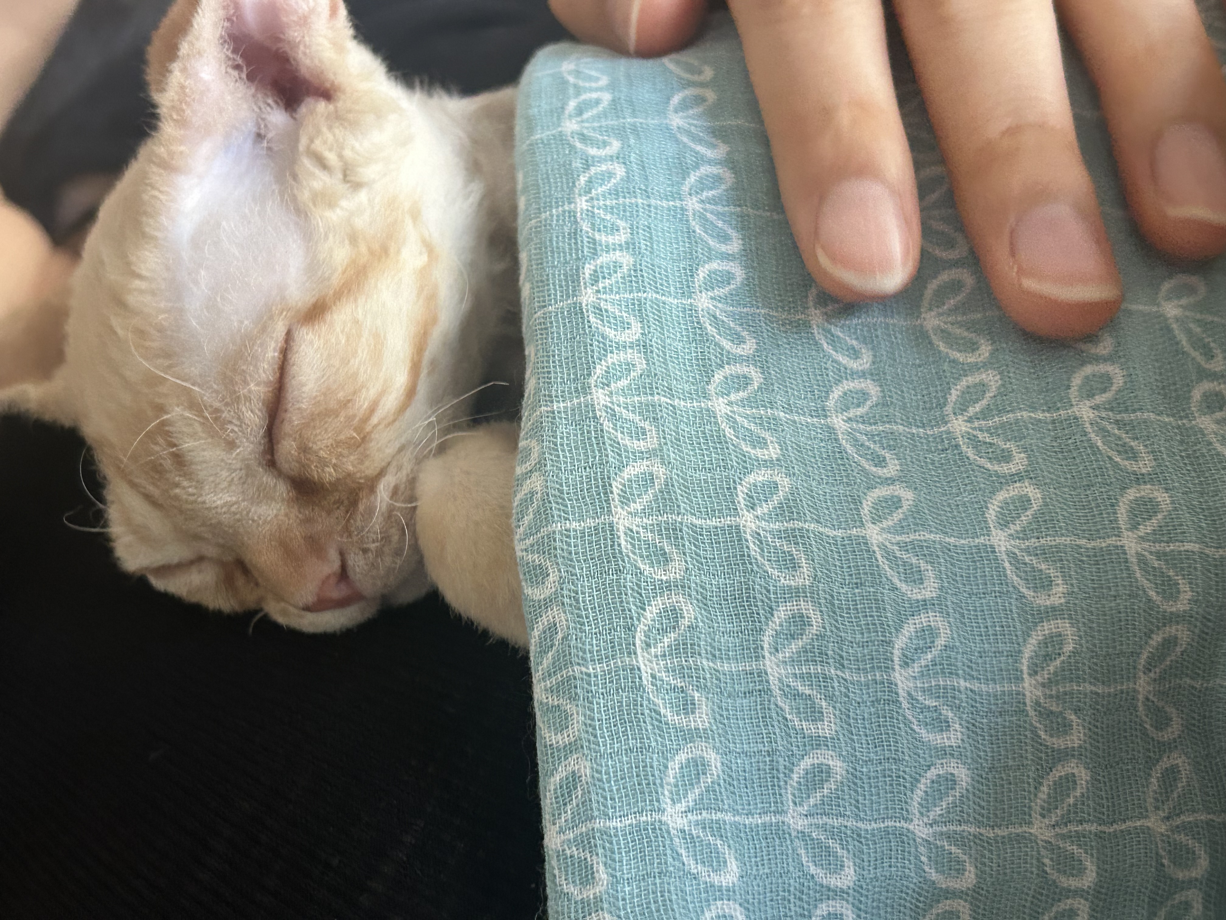 복만이 (던노)와의 한달!