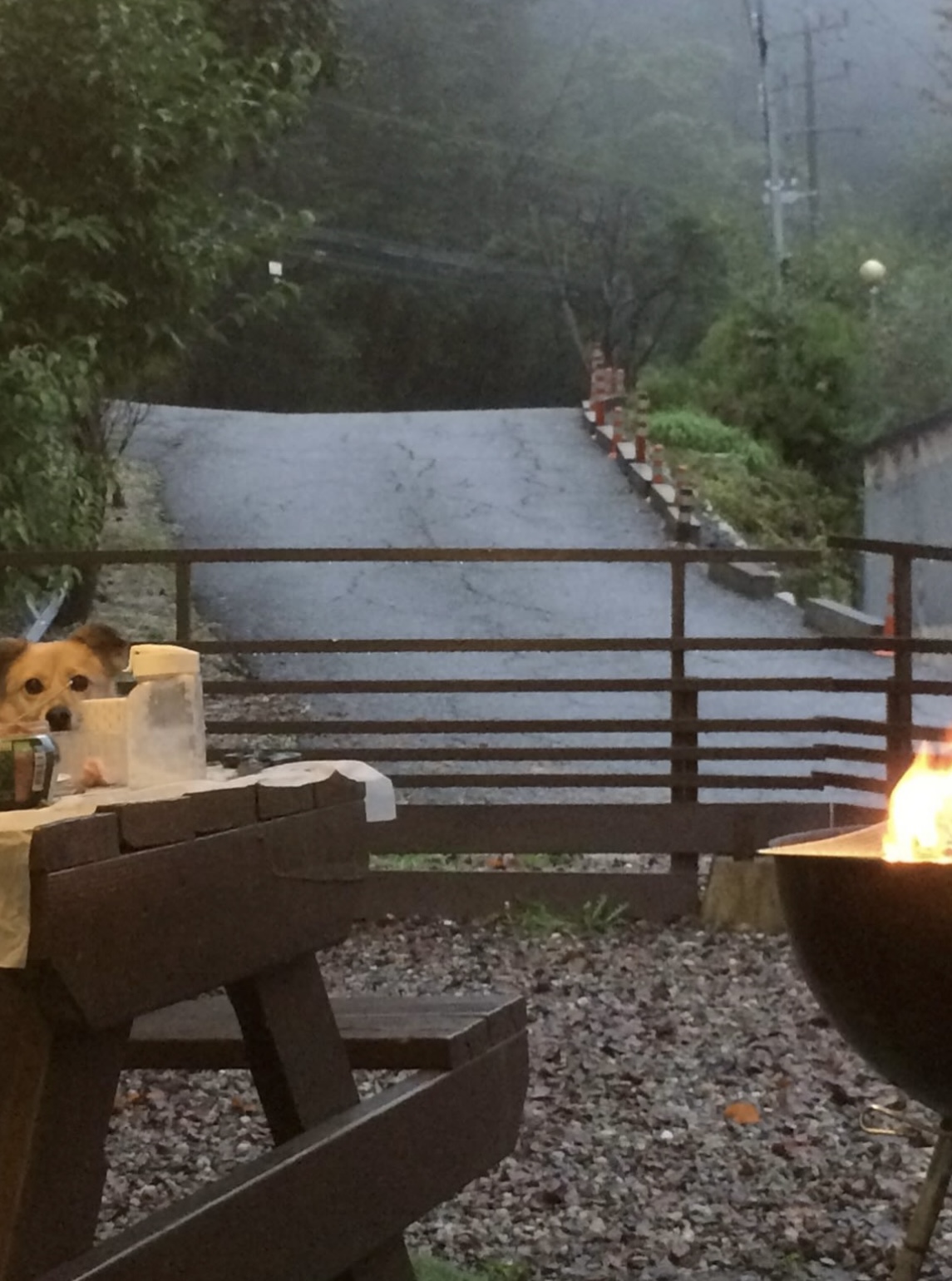 지구와 같이 지낸지 4년이 지났어요.