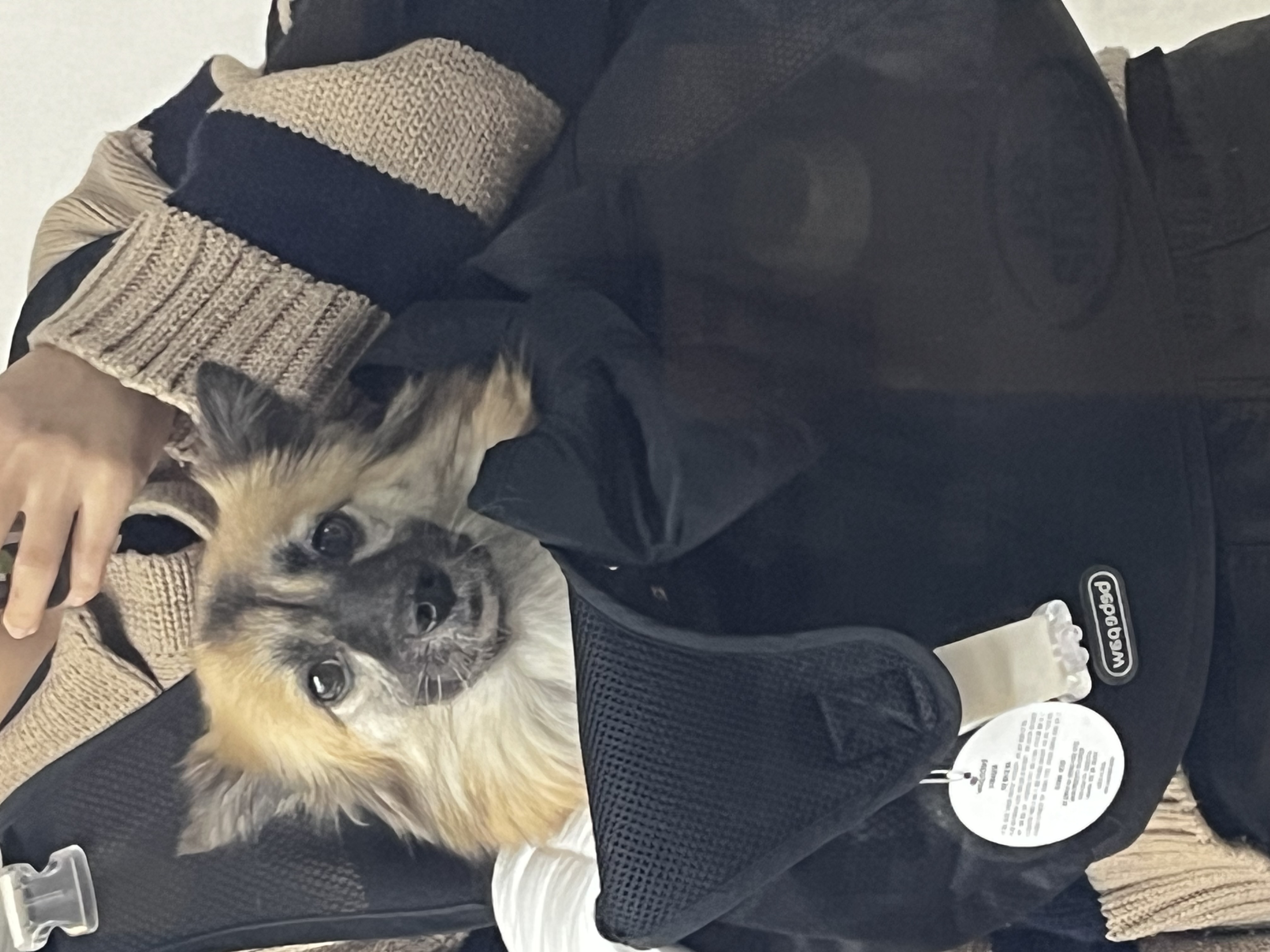 반달이 케일이의 집 적응기