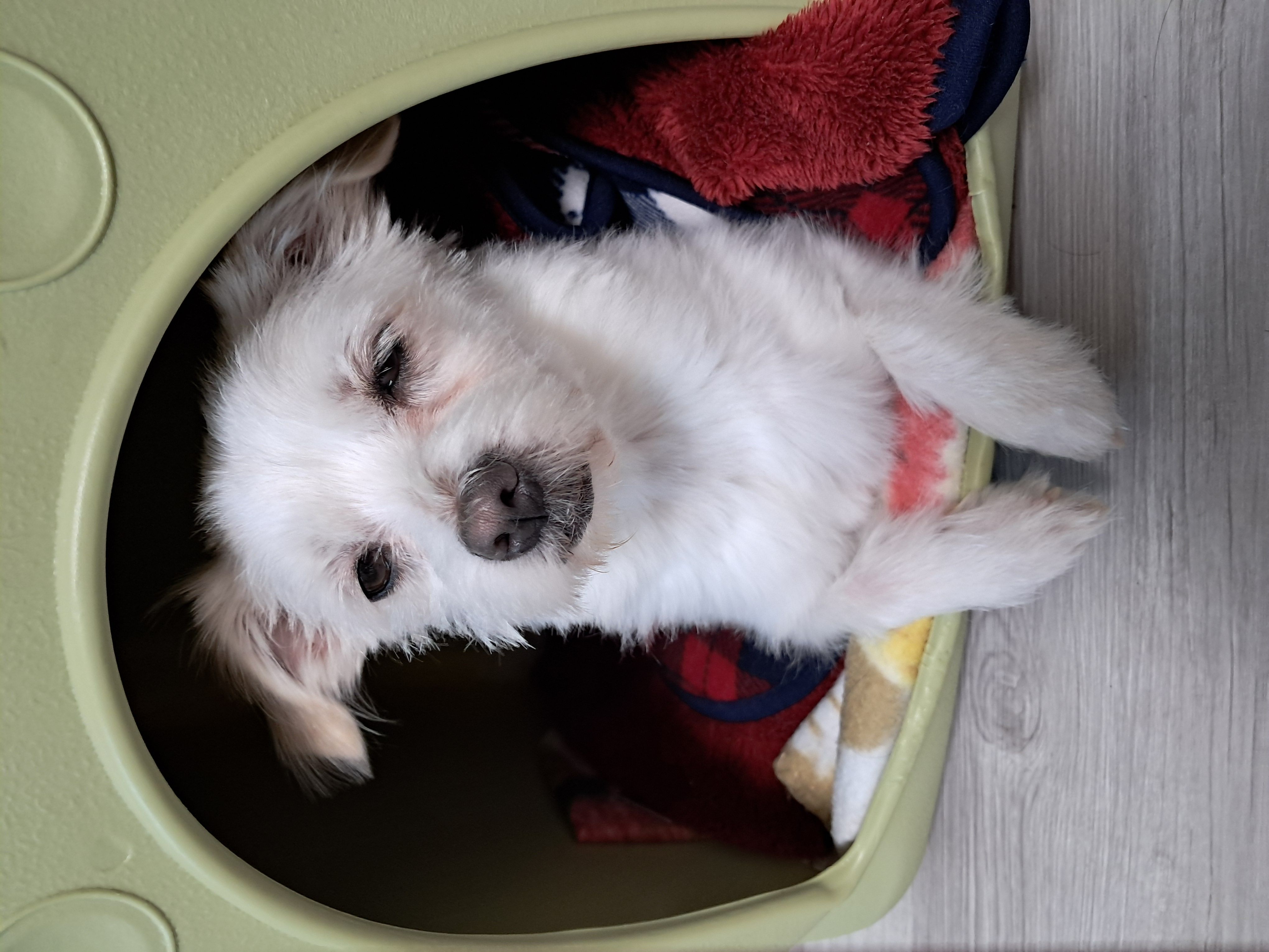 이브(원투) 행복한 시간을 보내고있습니다.