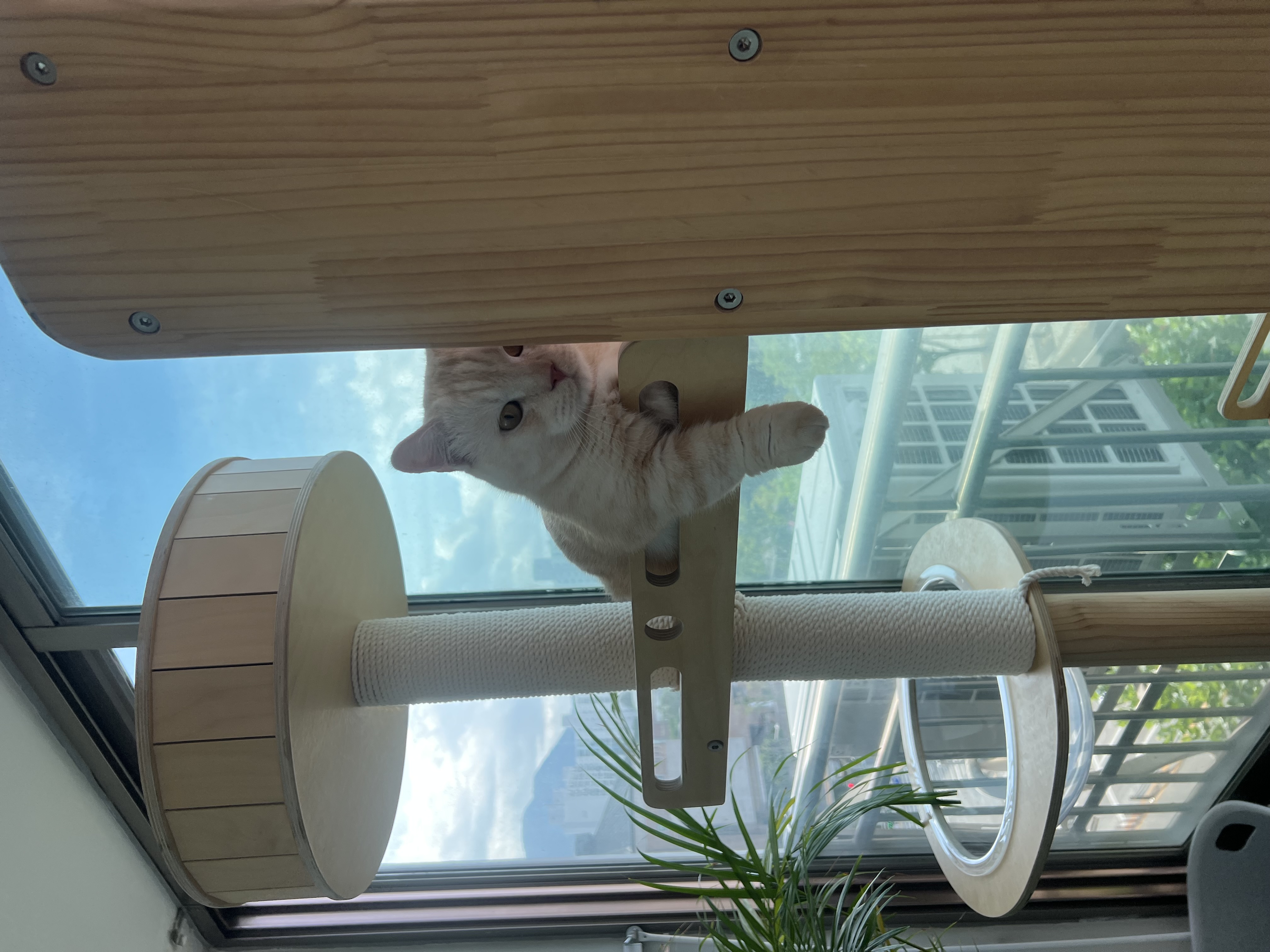 대길이(숀다) 3개월 후기