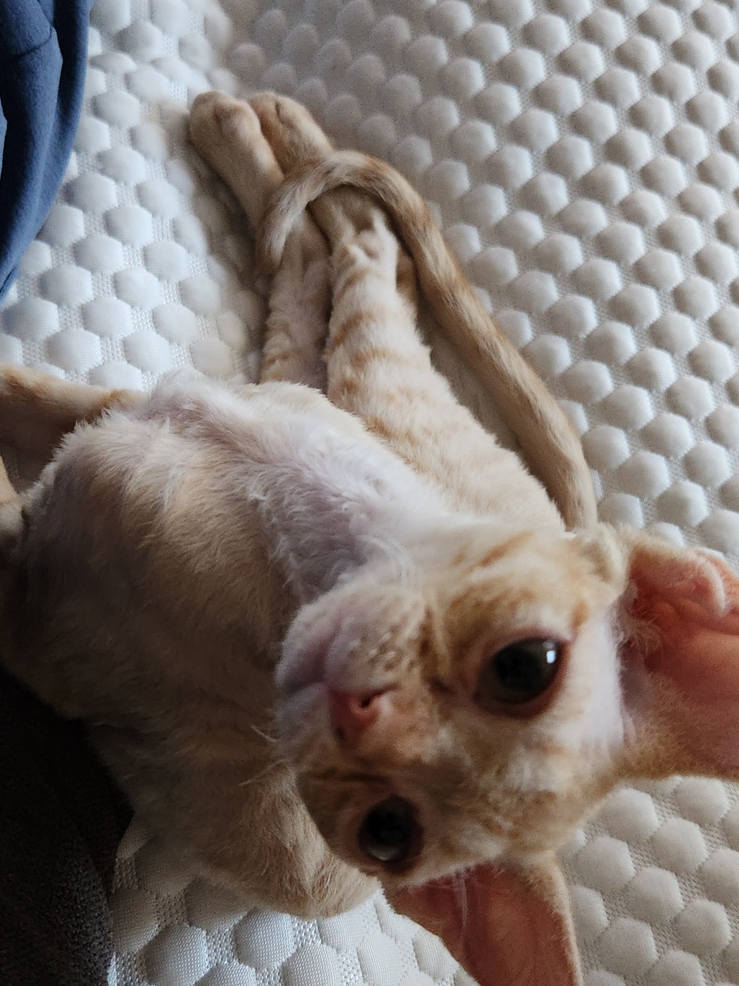 복만이 (던노)와의 한달!