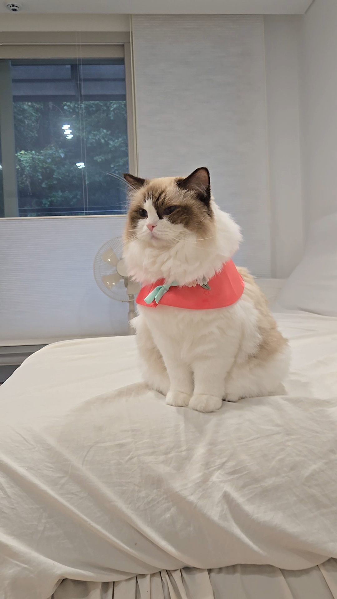 미야오(마시) 우리는 가족 : 3개월 차