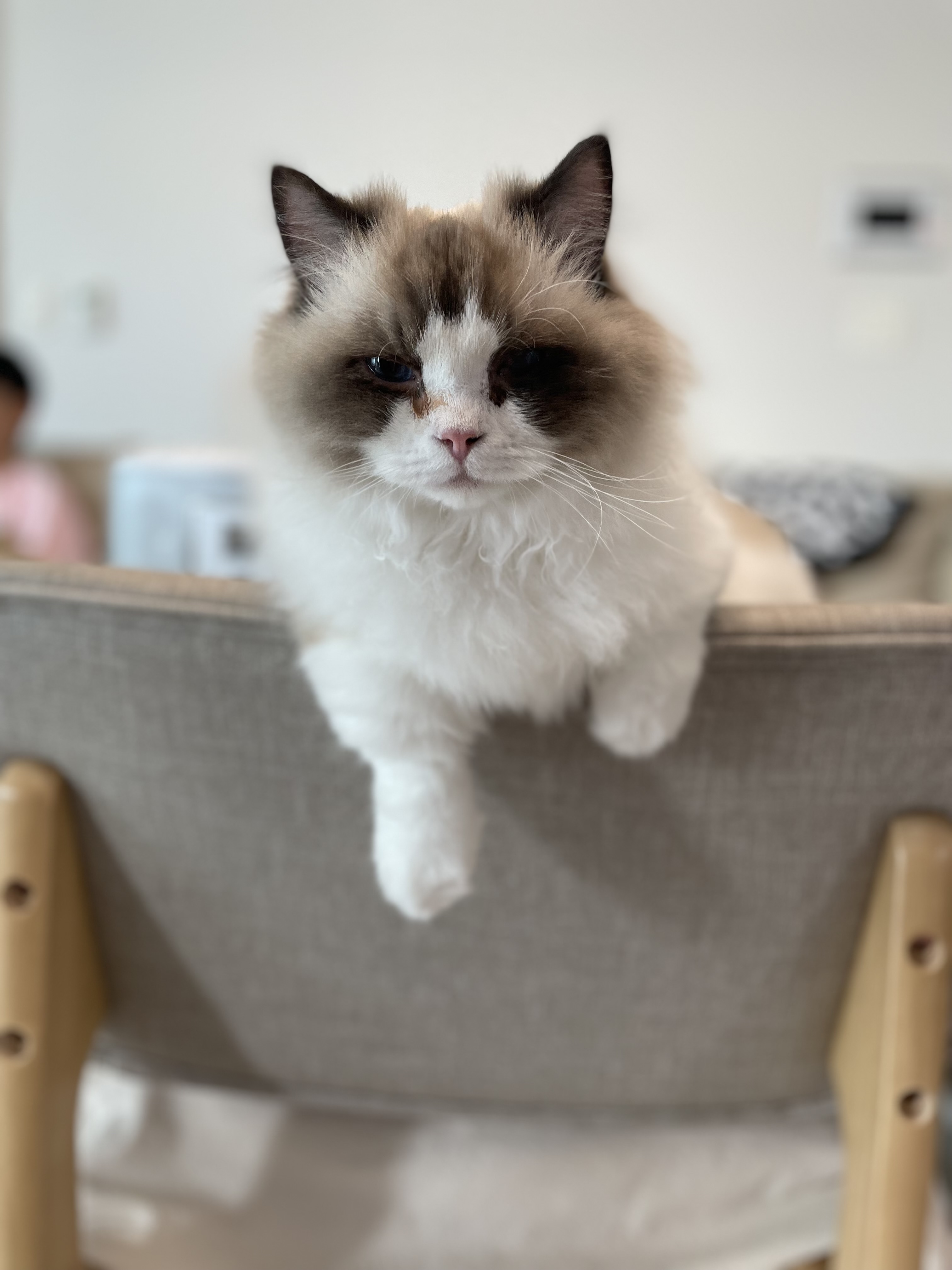 춘식(구 마루미) 1개월차